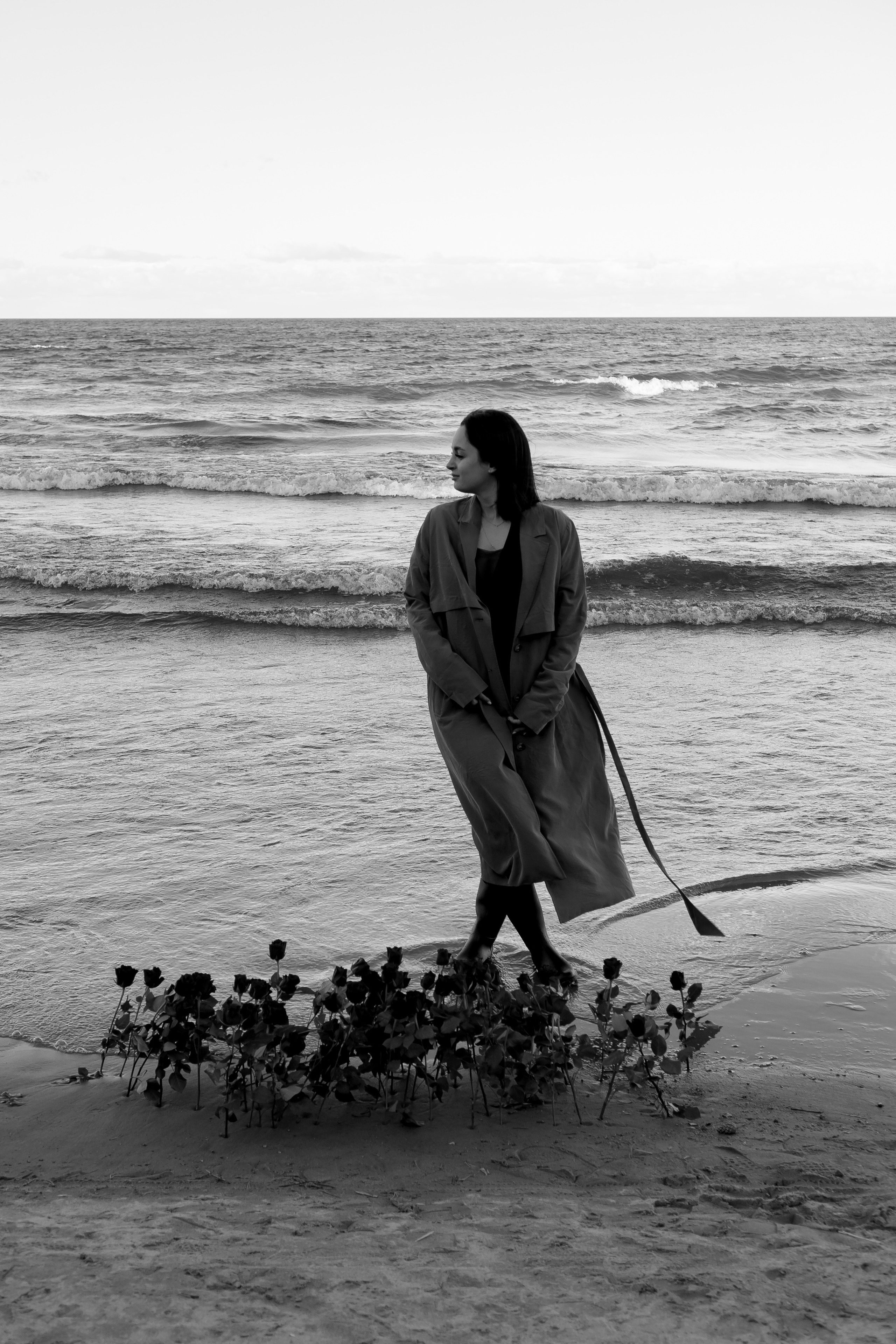 Розы. Профессиональный фотограф, Санкт-Петербург — Виктория Богомолова