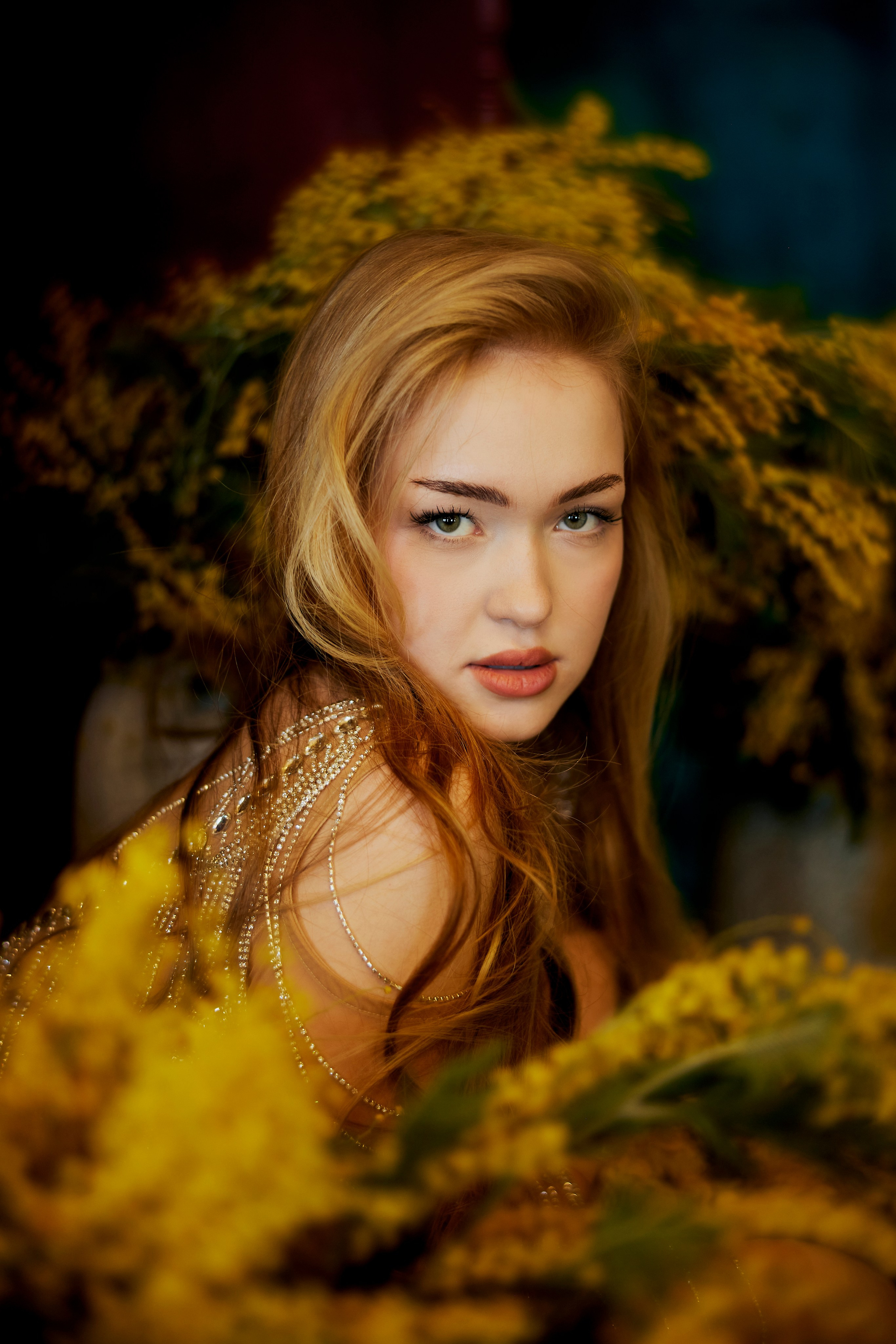 Мимоза 2. Сергей Ирклиенко