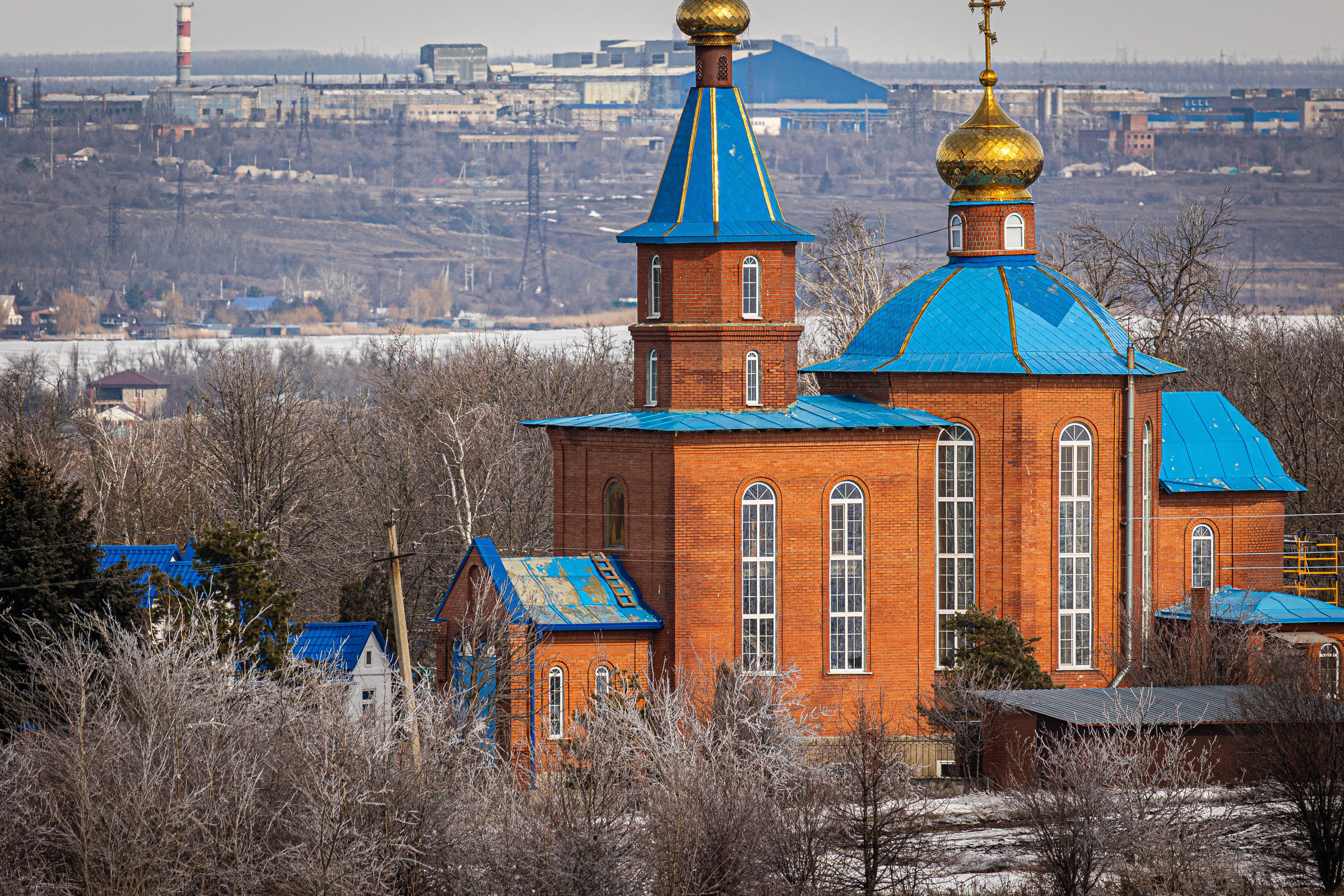 Дикий животный мир. Фотограф-АниМалист Анна Абрамова