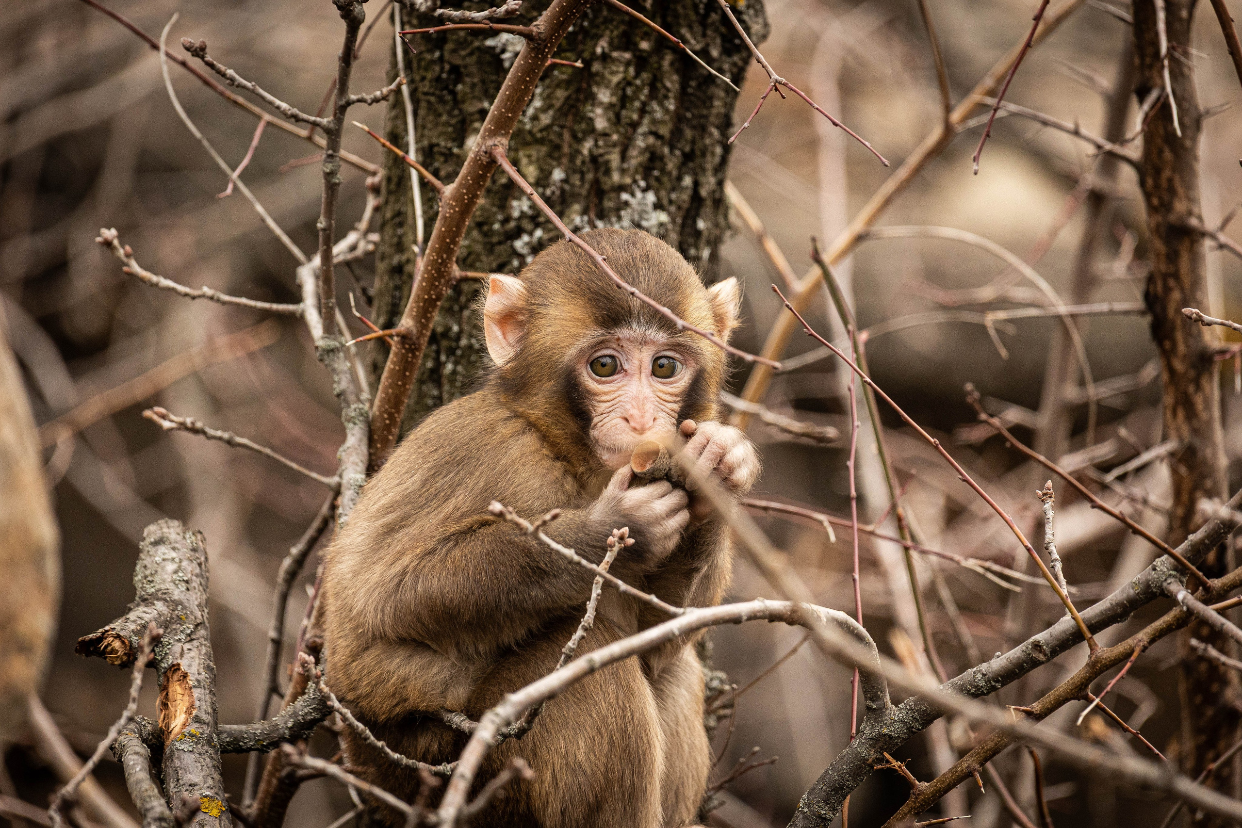 Парк Малинки 2026. Фотограф-АниМалист Анна Абрамова