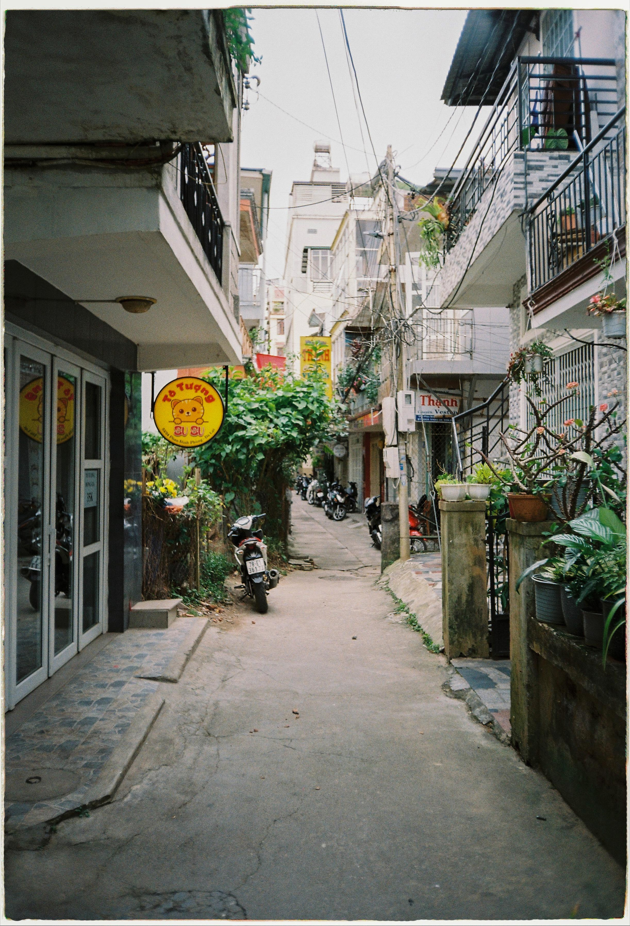 Dalat 2024. Film Photographer in Da Nang, Vietnam — Tanya Parfenteva