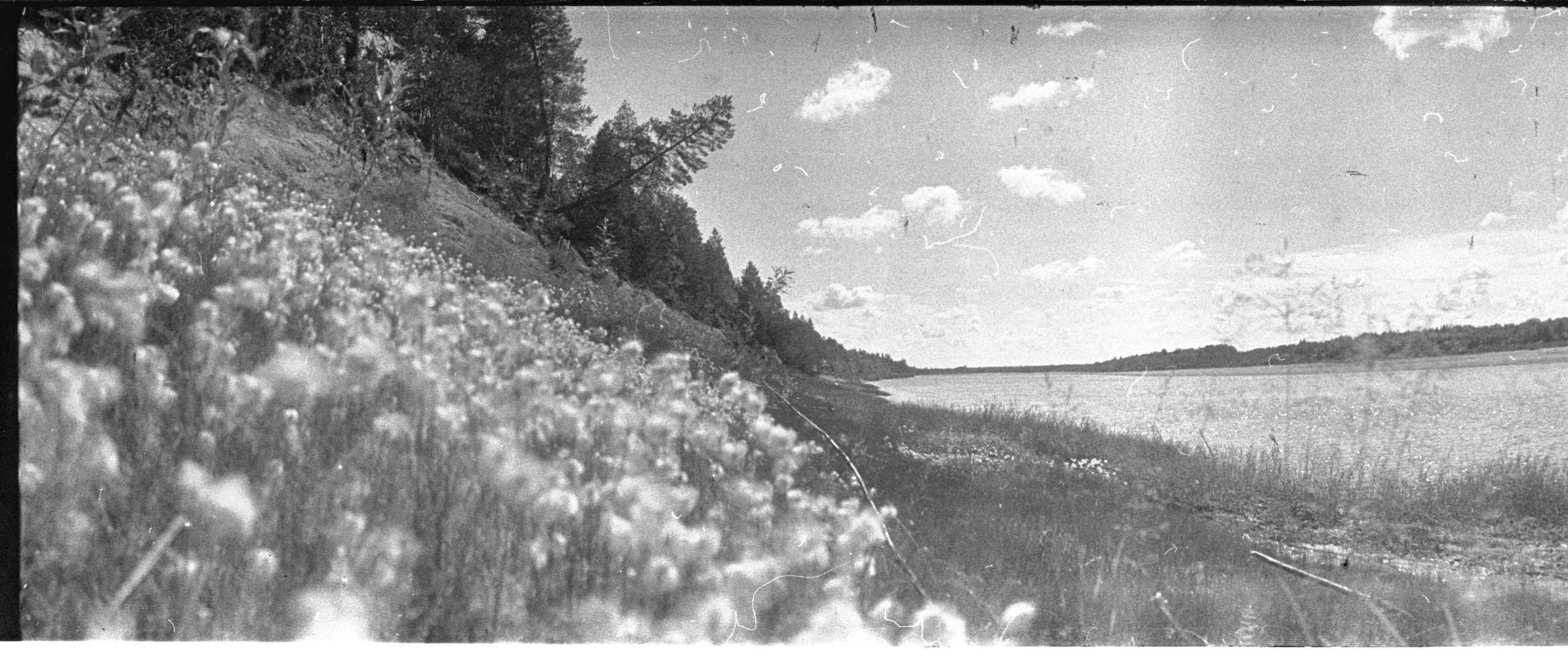 Было лето. ФОТОГРАФ ЛИЛИЯ БИЧУРИНА