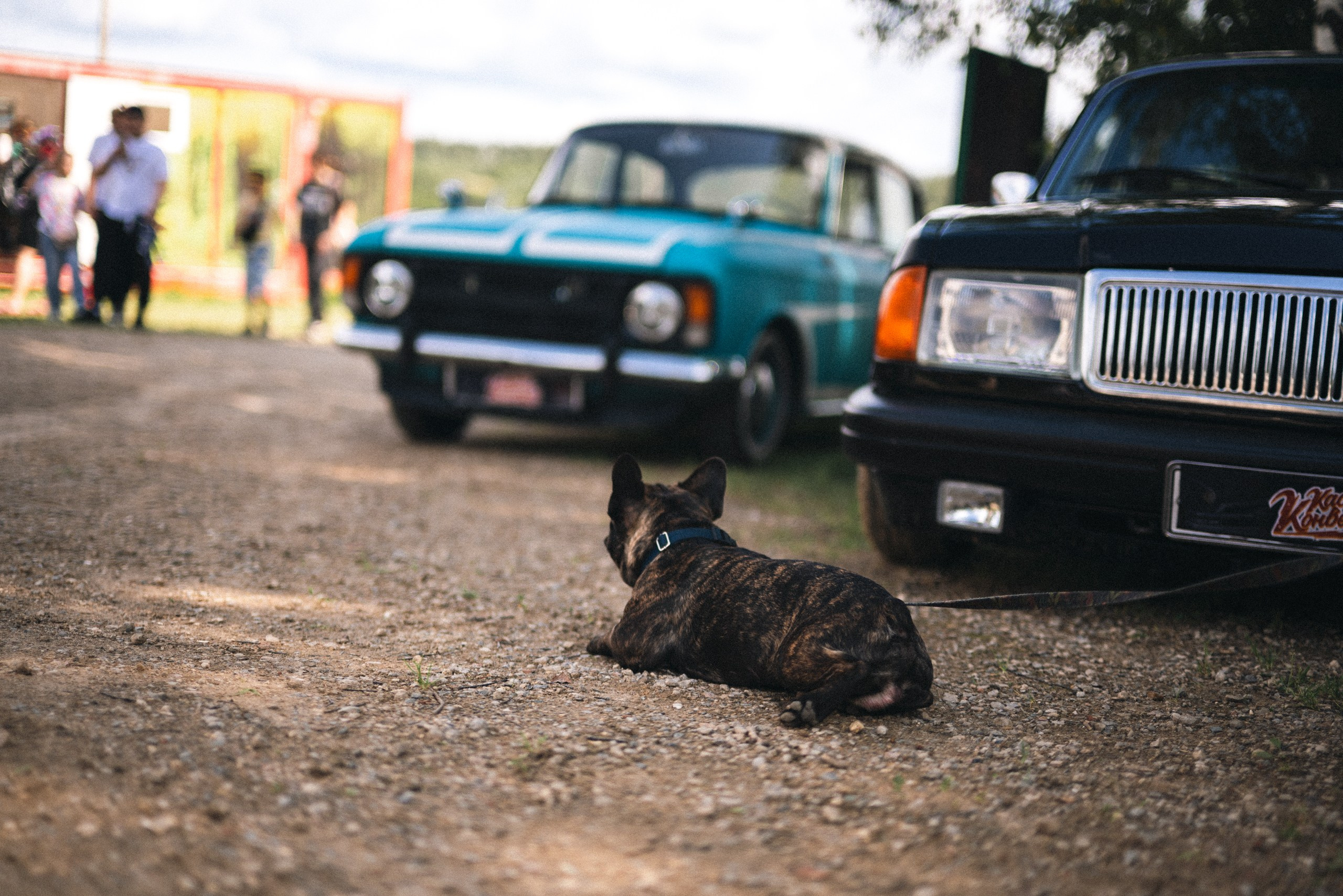 АВТОМОБИЛИ — МЕРОПРИЯТИЯ. Фотограф в Москве — Олег Штыканов