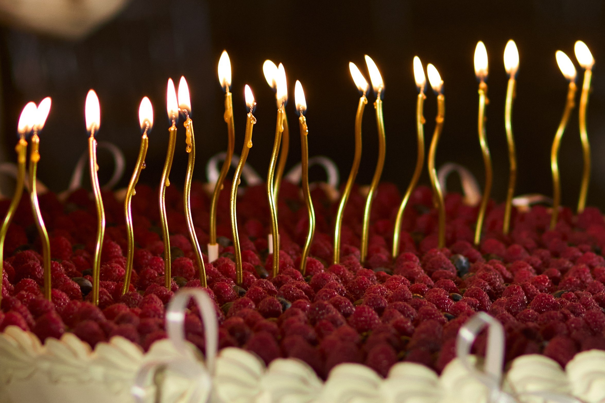 Wedding day | Вячеслав и Карелия