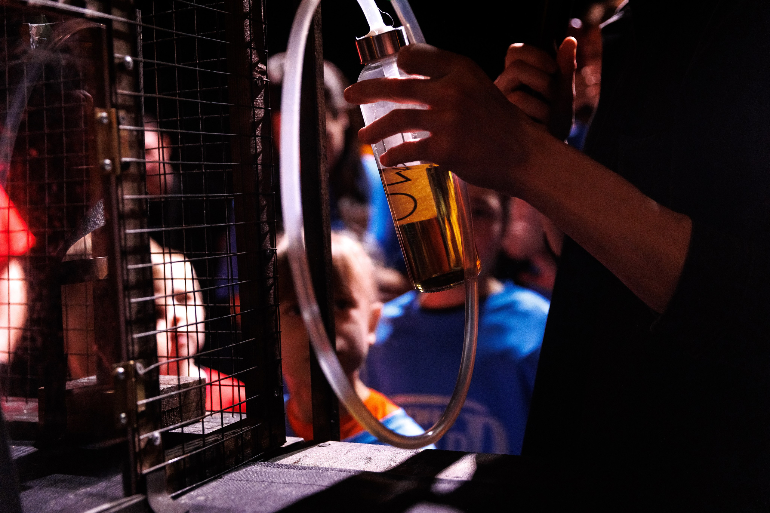 День Рождения Карины. Форд боярд