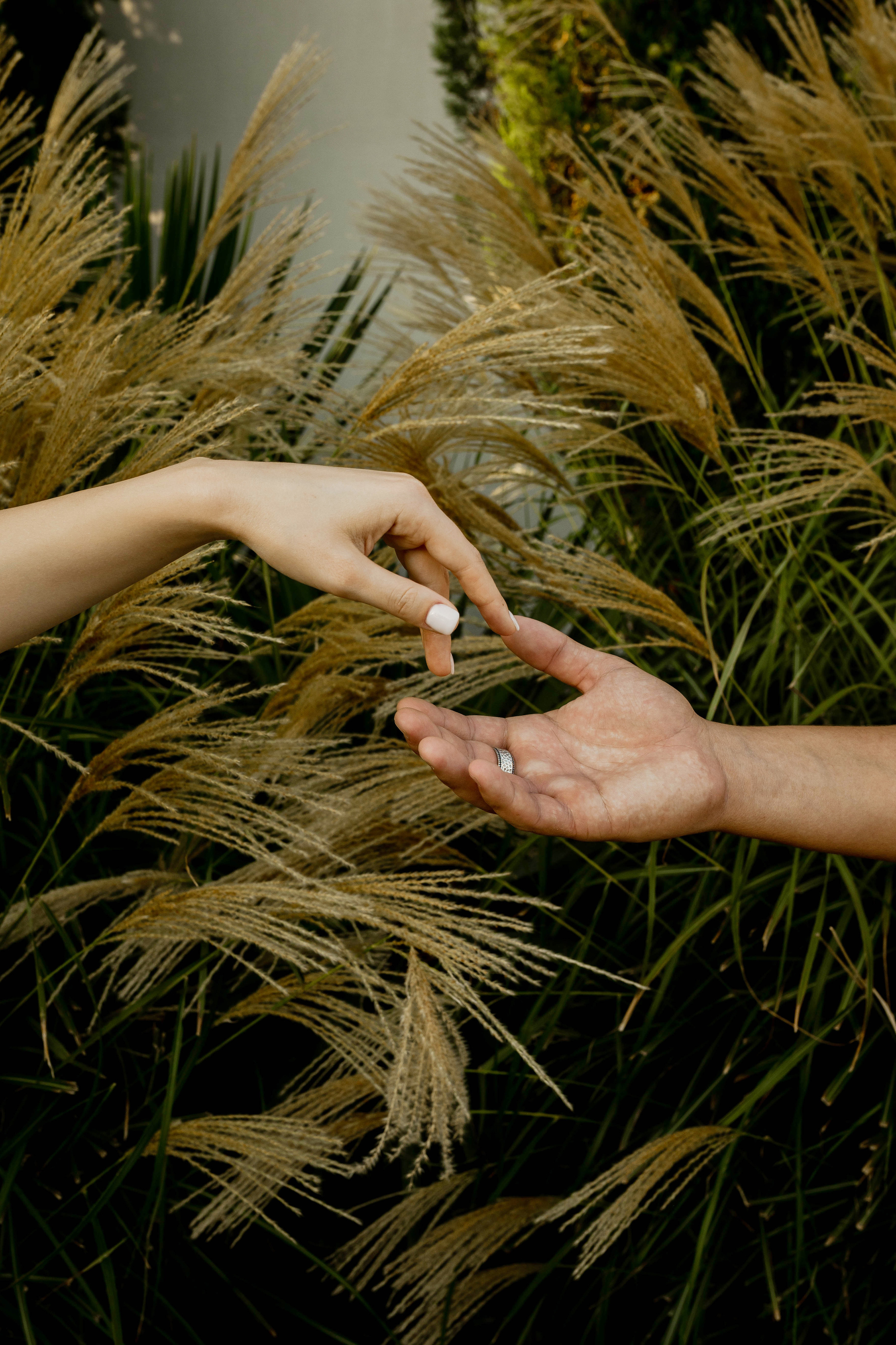Елизавета и Александр. Фотограф в Геленджике, Архипо-Осиповке, Абрау-Дюрсо, Кринице Виктория