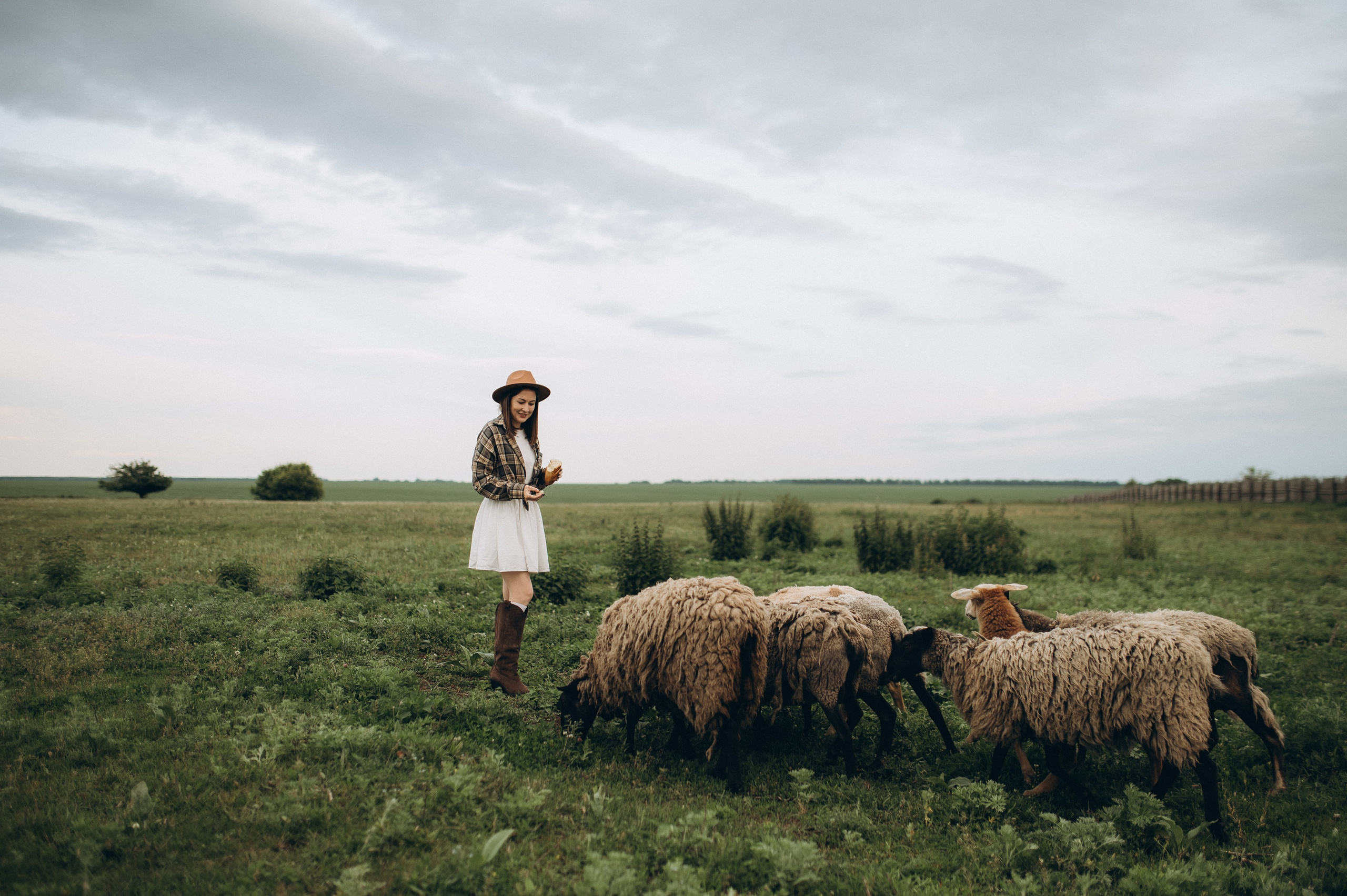 Фотосессия с овечками. Фотограф Быстрова Дарья г. Москва