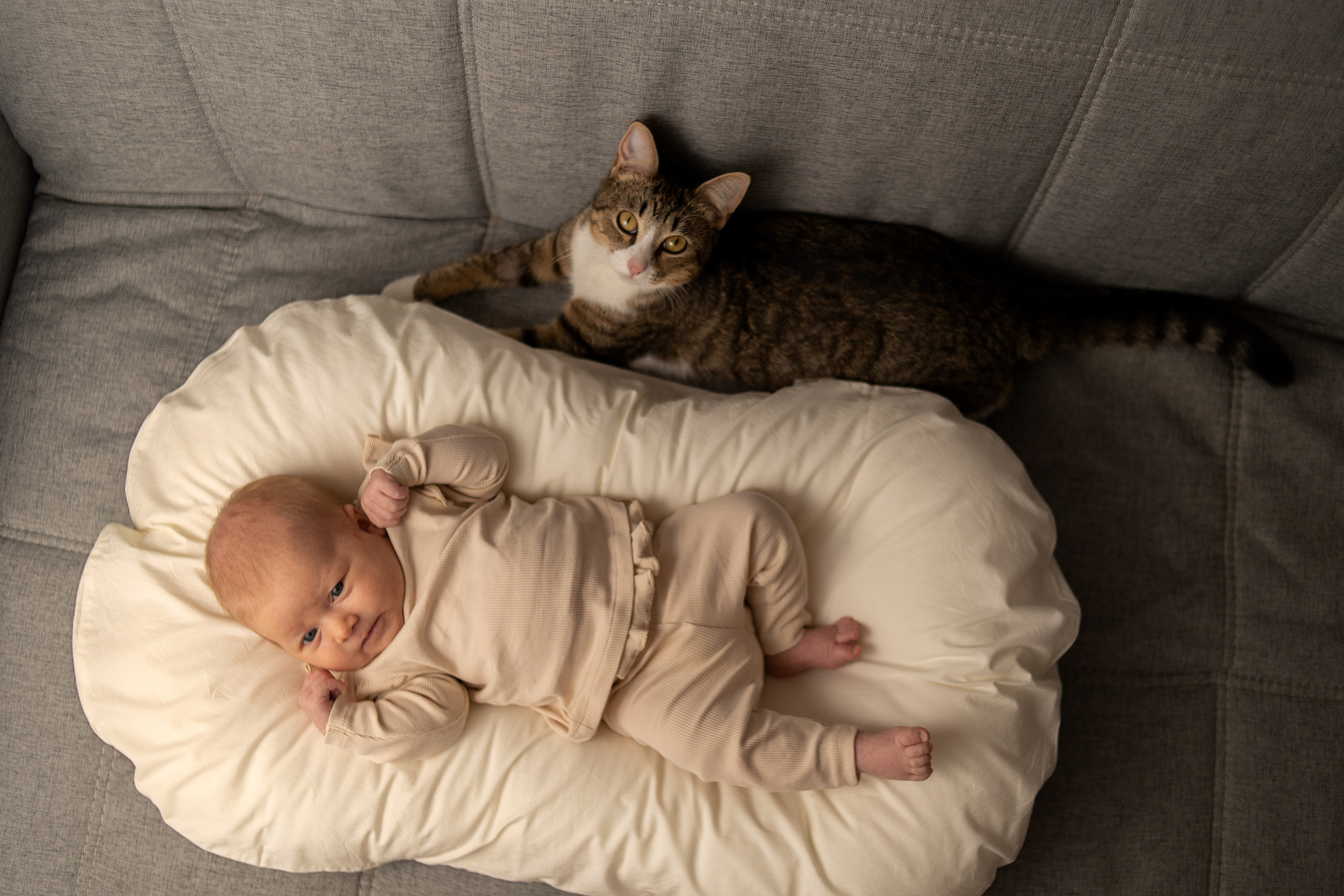 Фотосессия новорожденного в Санкт-Петербурге