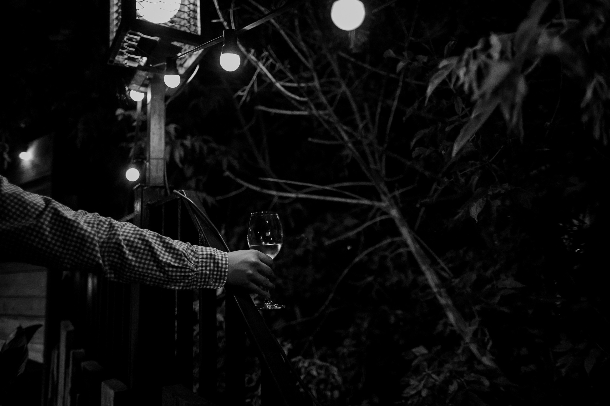 Антон и Даша. Свадебная вечеринка. Свадебный фотограф Марина Назарова Москва