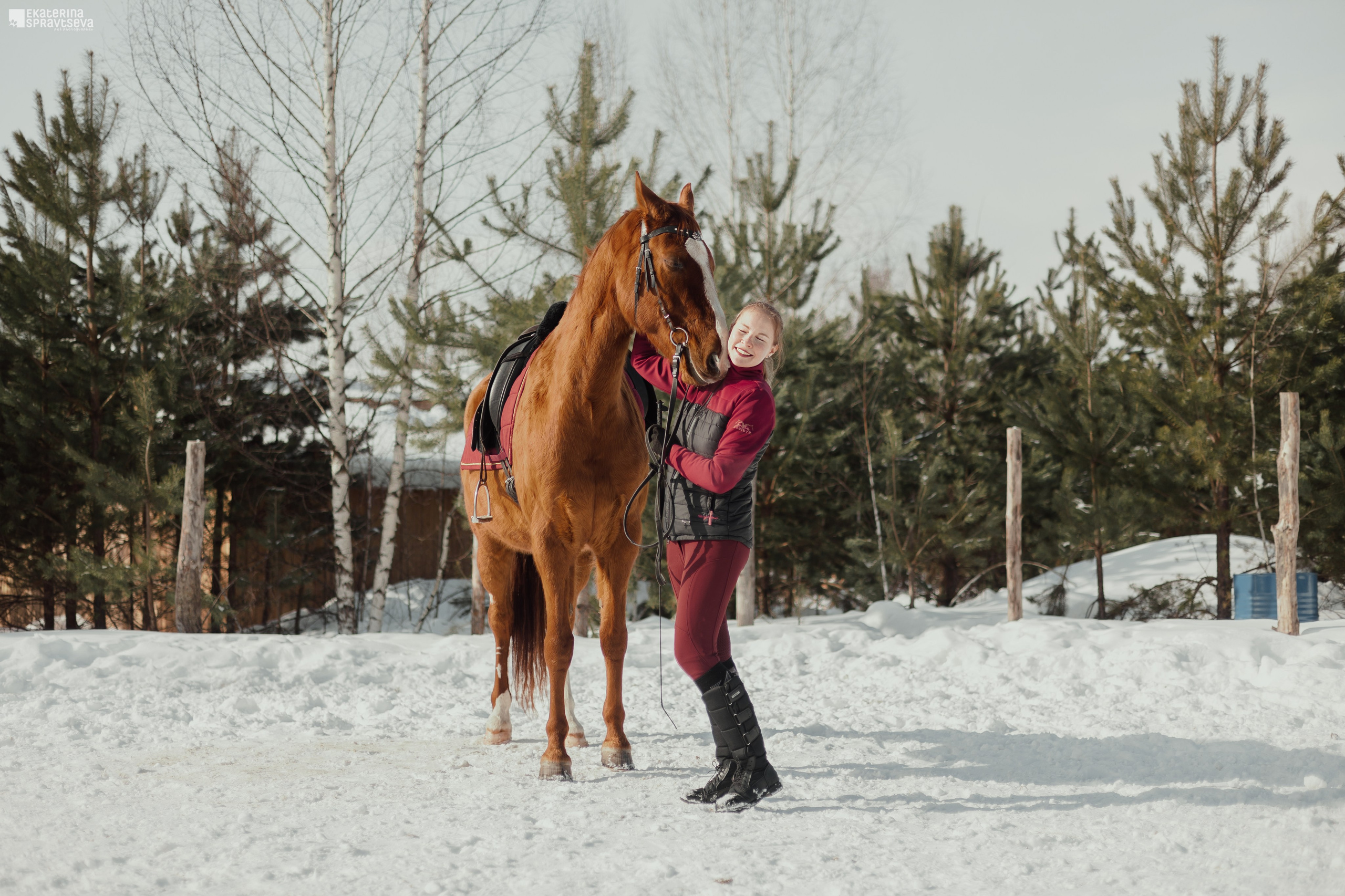 Екатерина Справцева фотограф анималист - портфолио фото. Фотограф Анималист Екатерина Справцева в Нижнем Новгороде
