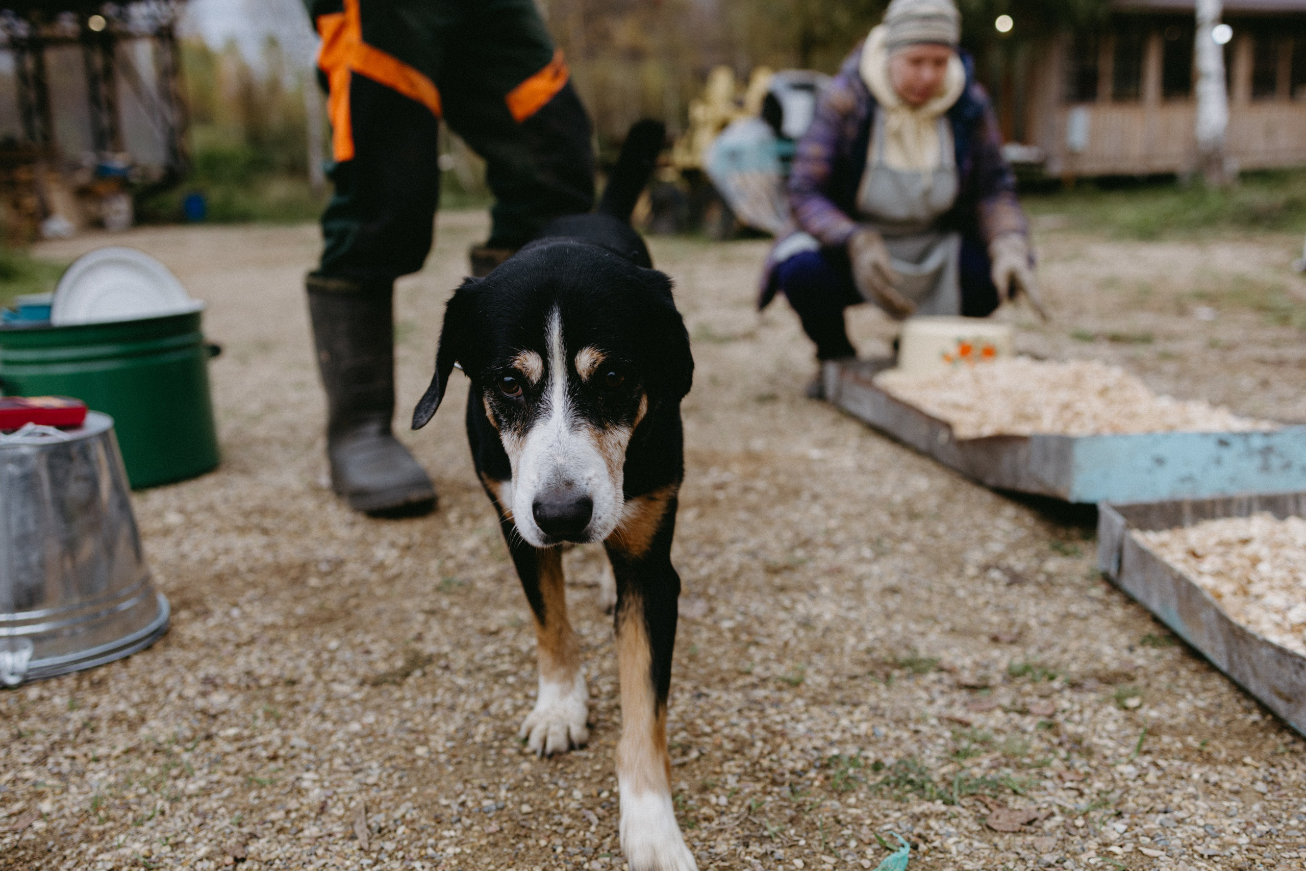 Новые земли. Про любовь