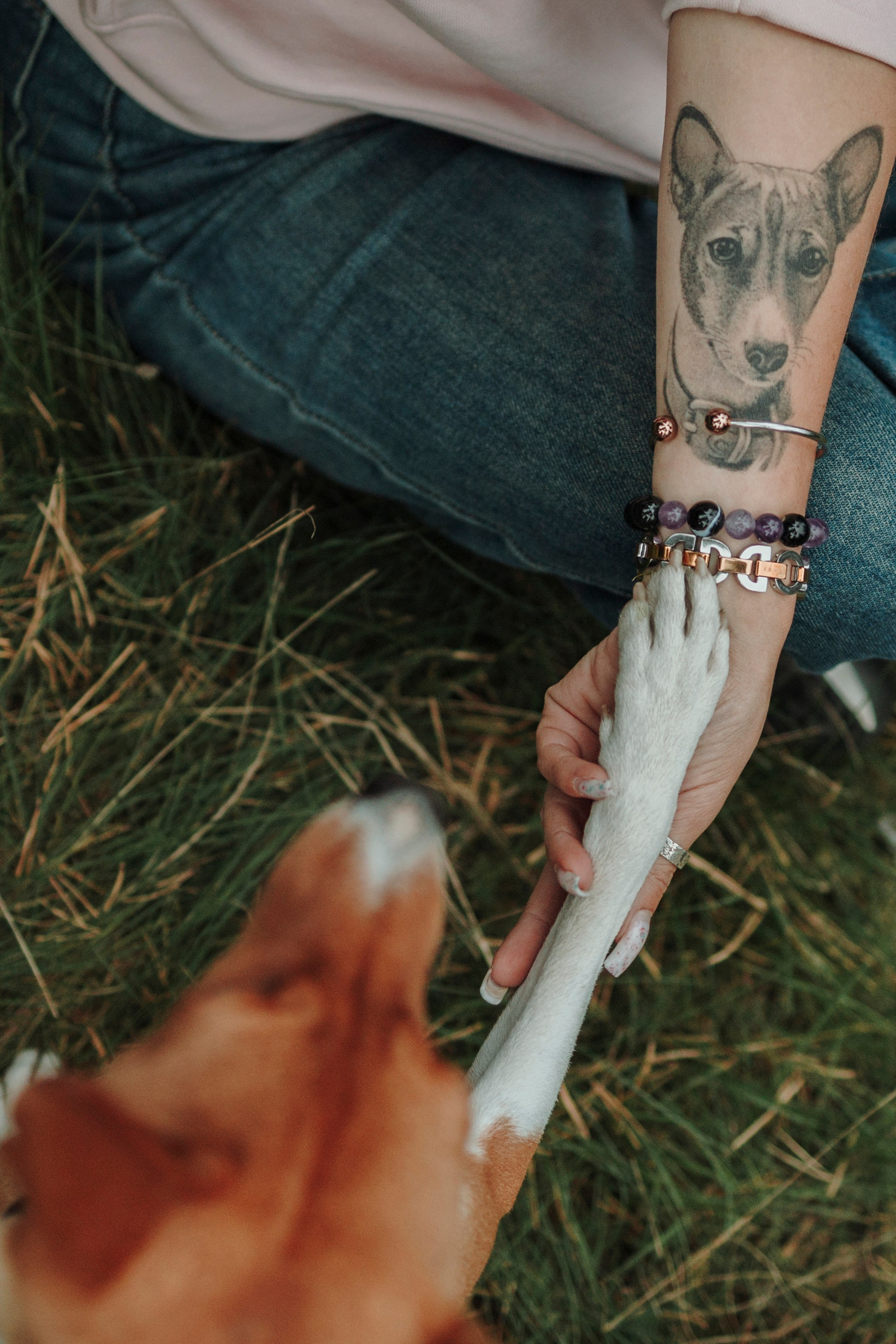 Даша и Лора. Фотограф-анималист в Санкт-Петеребурге Титова Алиса