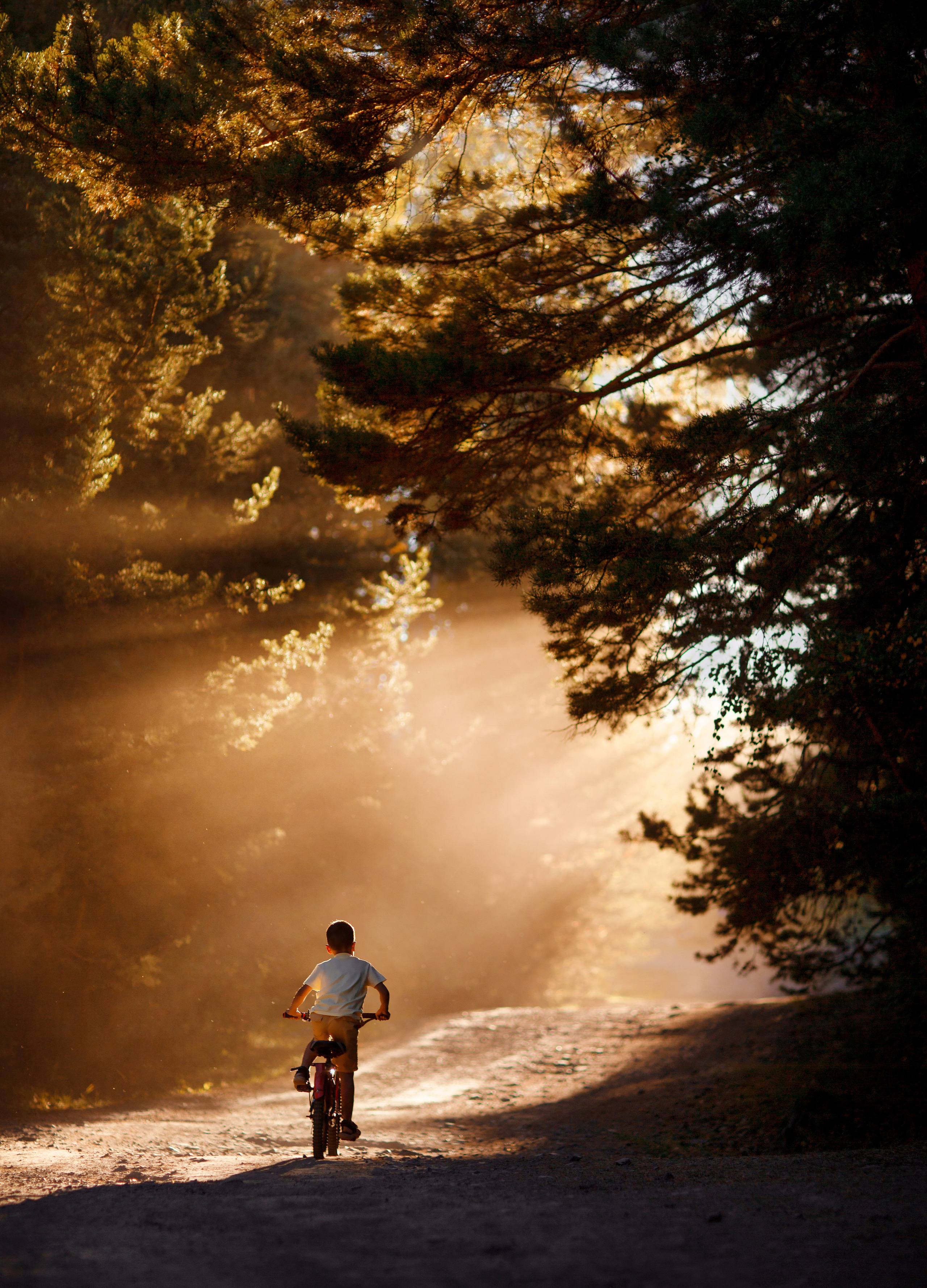 Детская фотография. Семейный и детский фотограф в Караганде, Каркаралинске, Казахстан, Мир