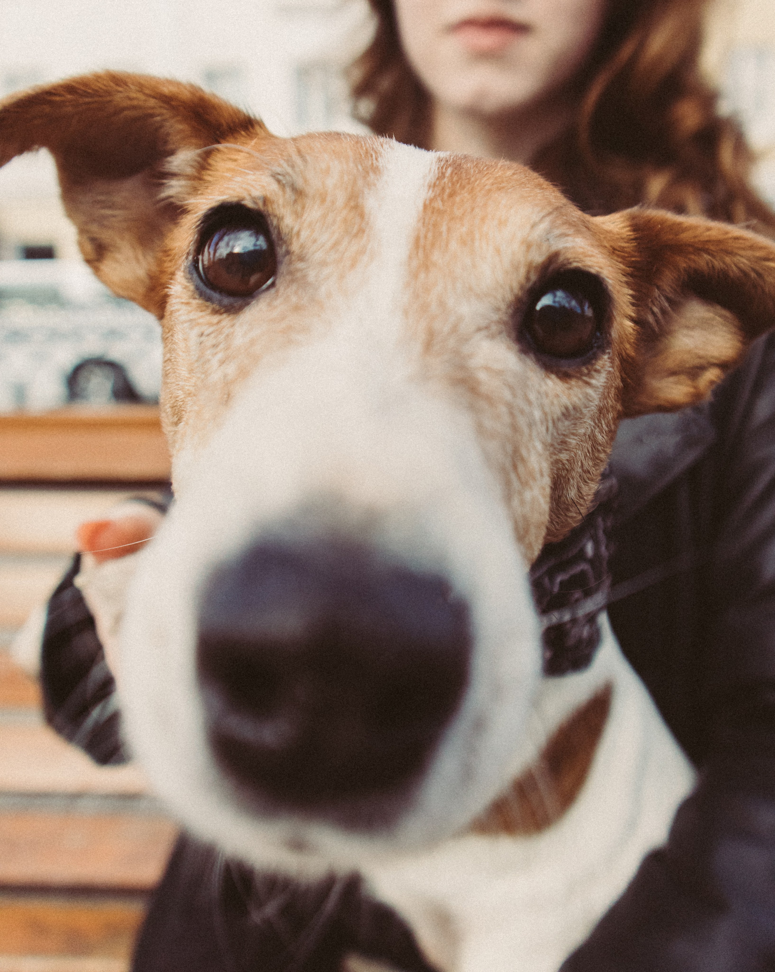 Полина и Греночка. Фотограф в Твери Дарья Уткина