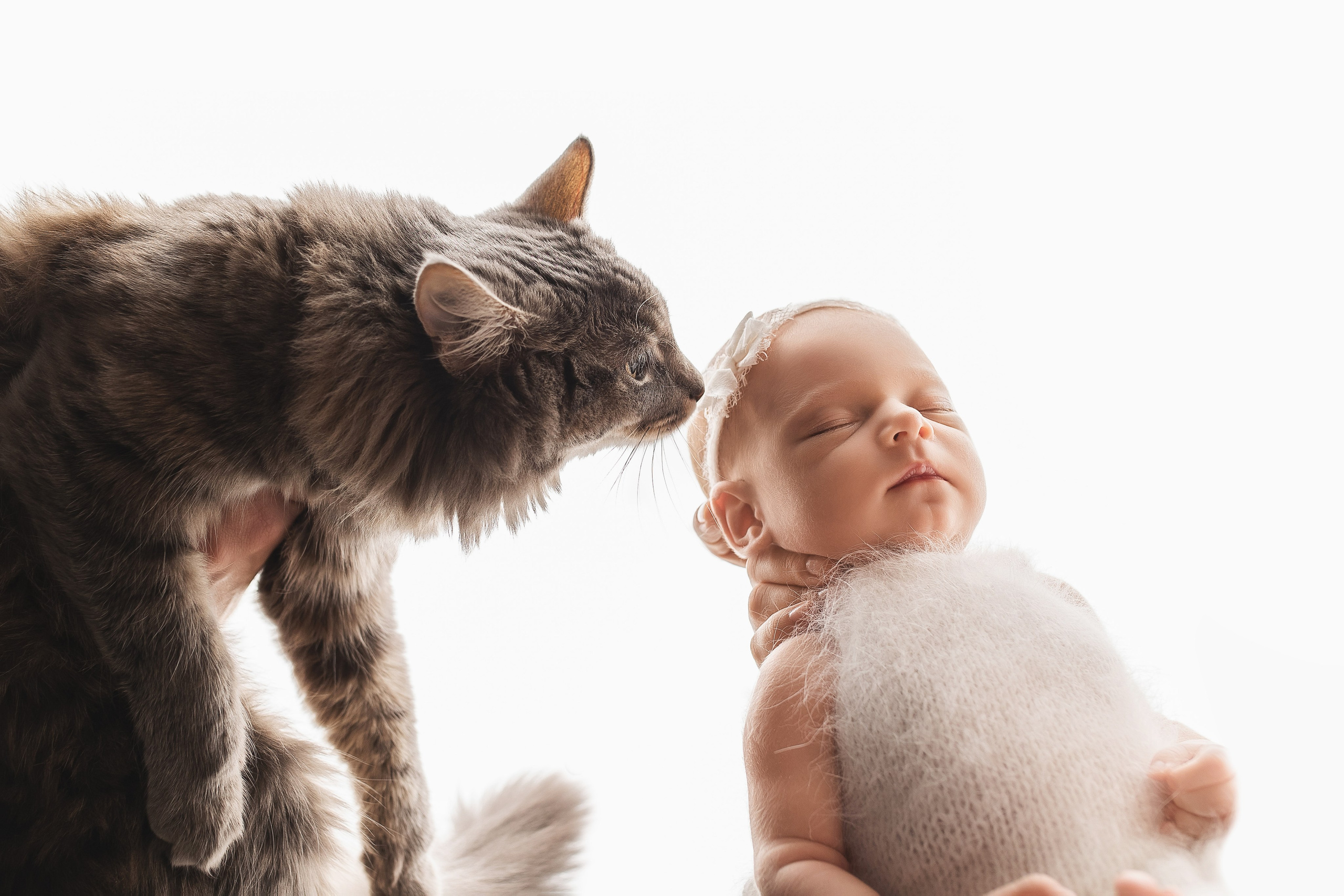 Девочки. Фотограф новорожденных Серпухов, Протвино, Москва I Марина Бурмистрова