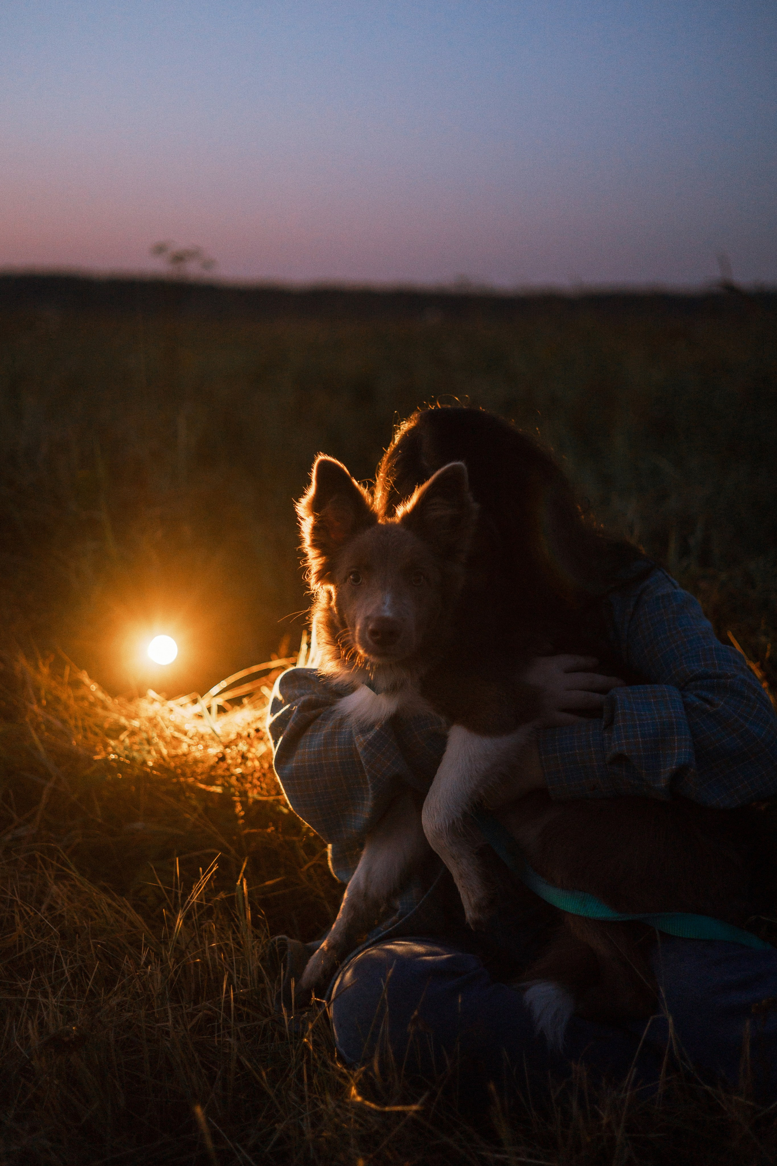 Полина и Паддингтон. Фотограф-анималист Богданова Полина