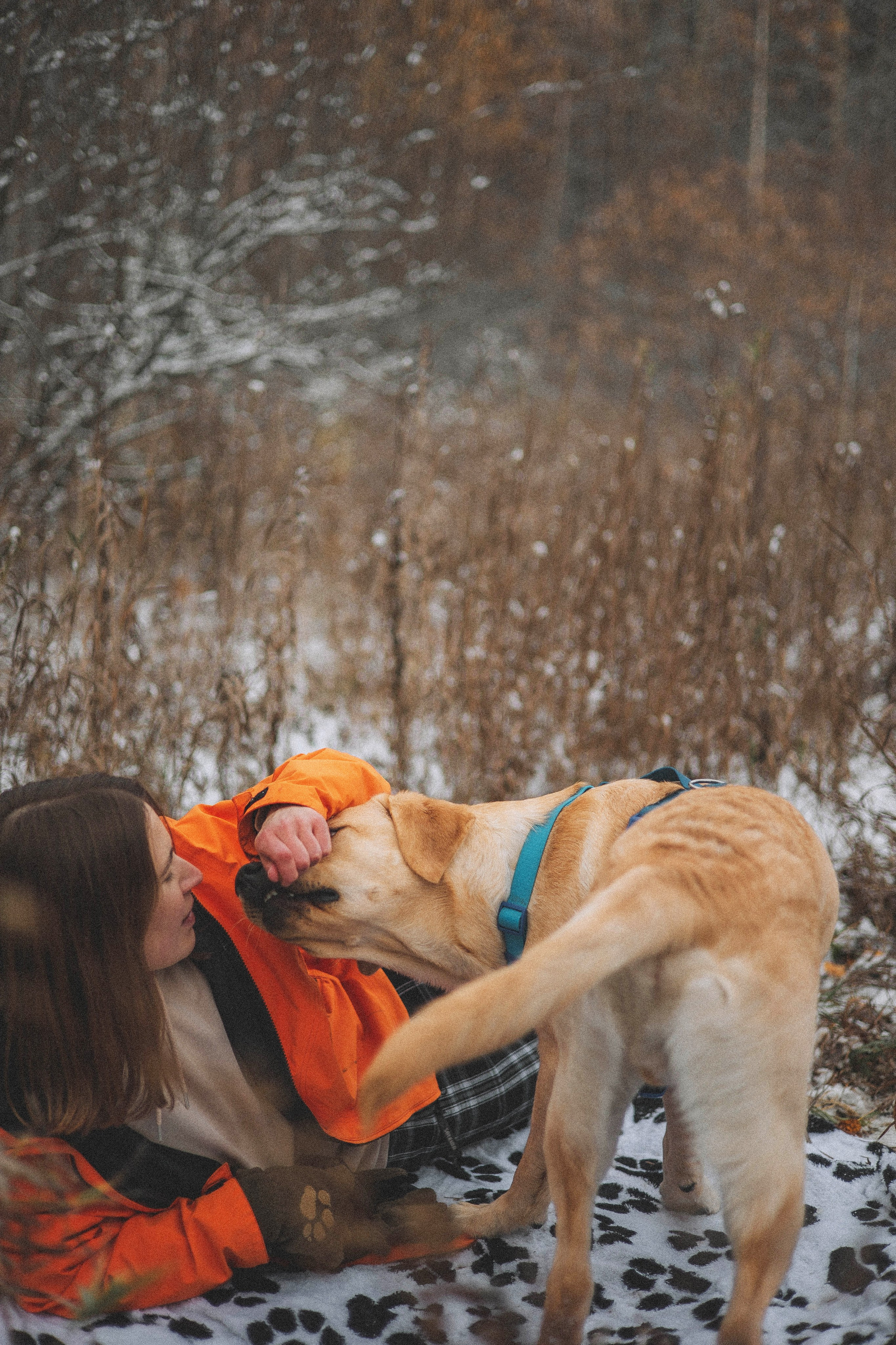 Маргарита и Варди. Фотограф-анималист Богданова Полина