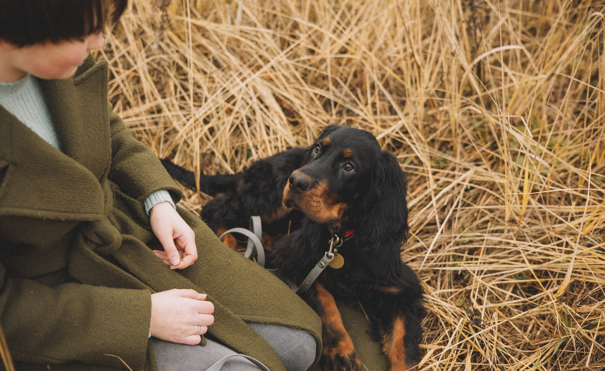 Даша, Глеб, Барс и Бруно. Фотограф-анималист Богданова Полина