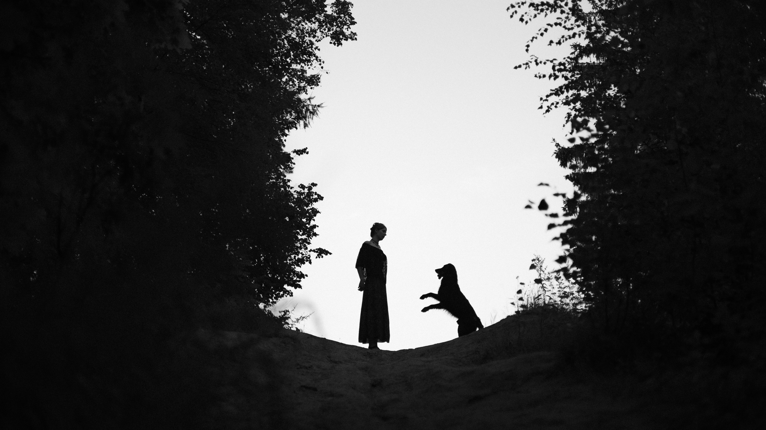 Лиза и Коди. Фотограф-анималист Богданова Полина