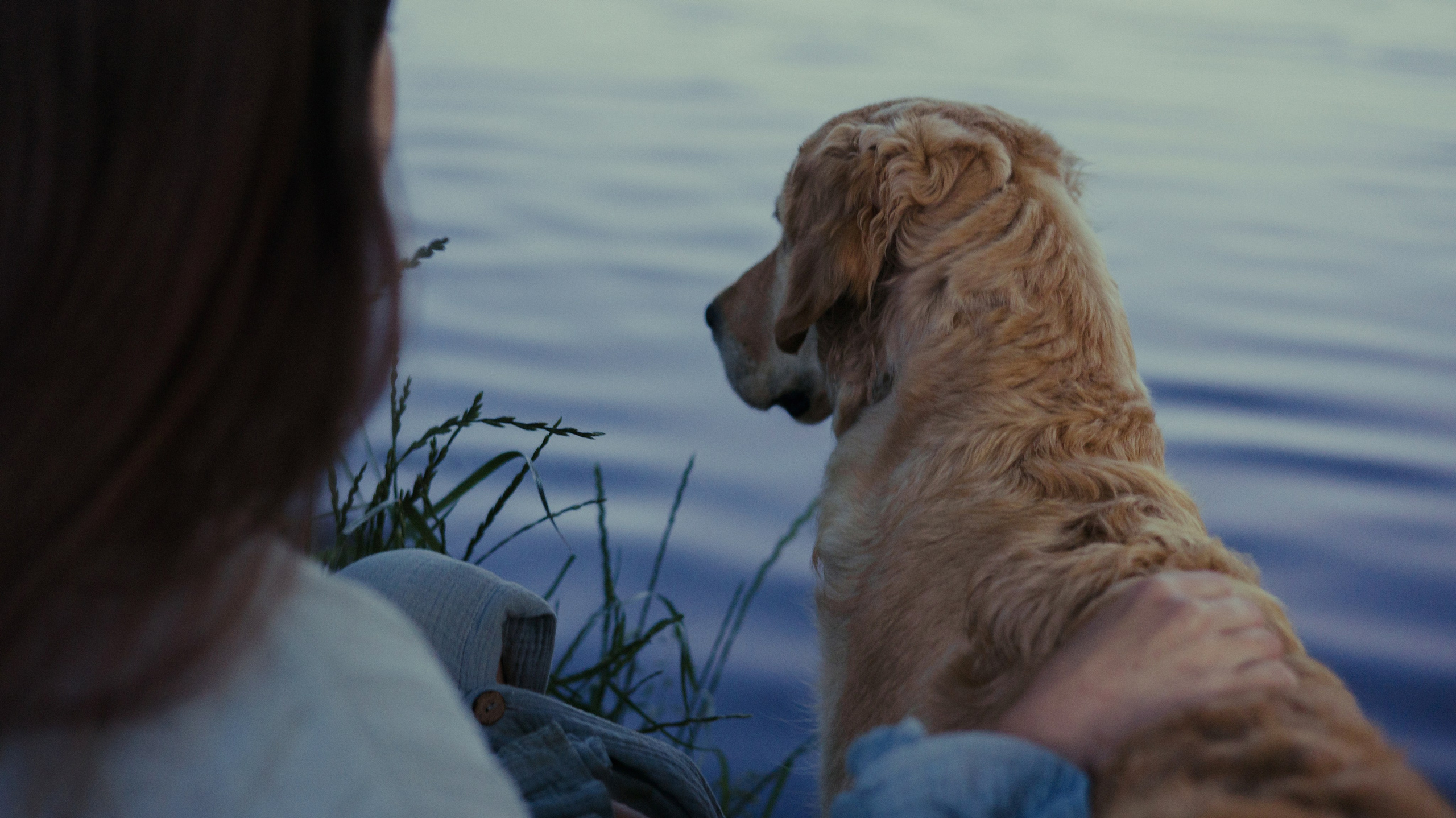 Марина и Чили. Фотограф-анималист Богданова Полина