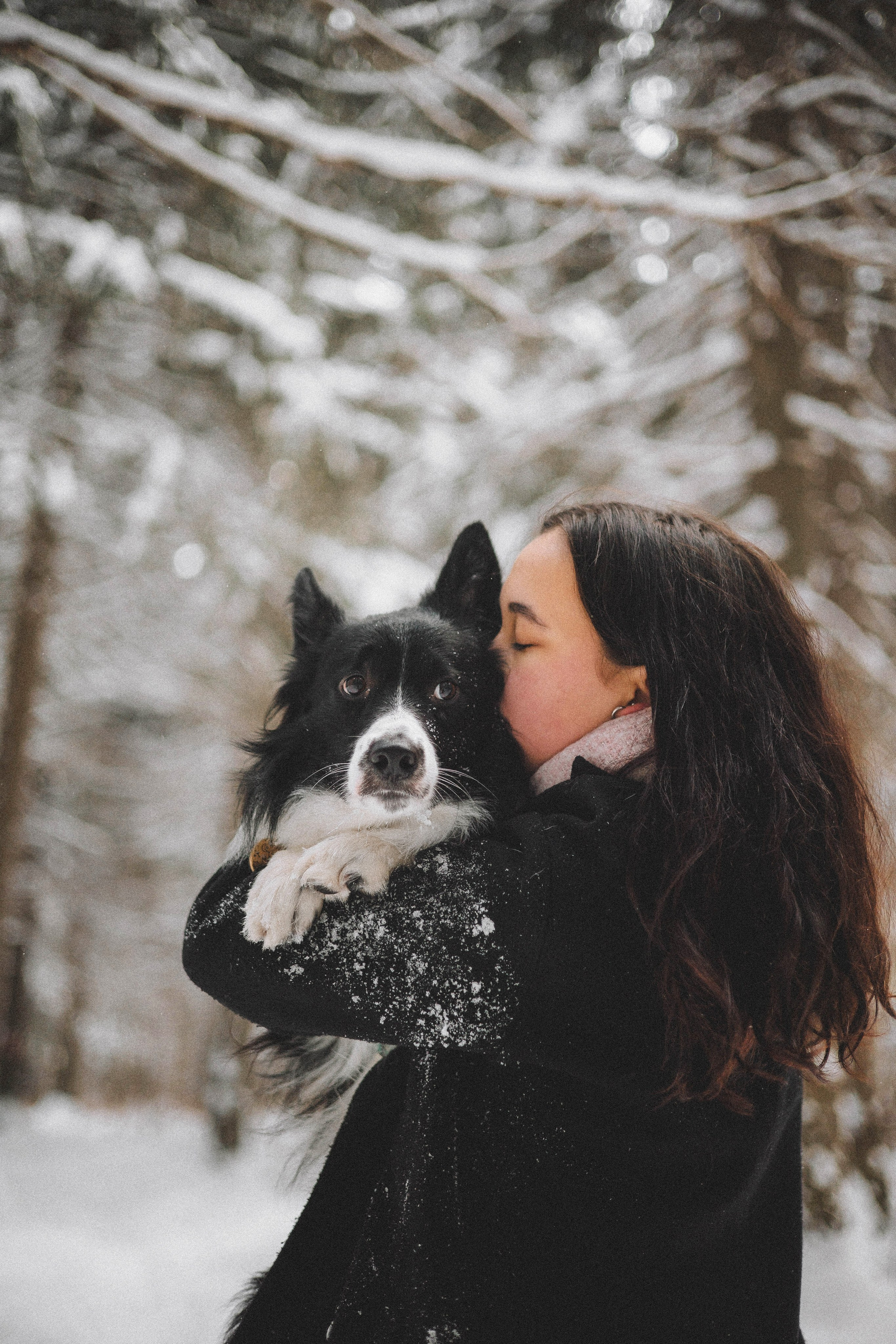 Алина и Найт. Фотограф-анималист Богданова Полина
