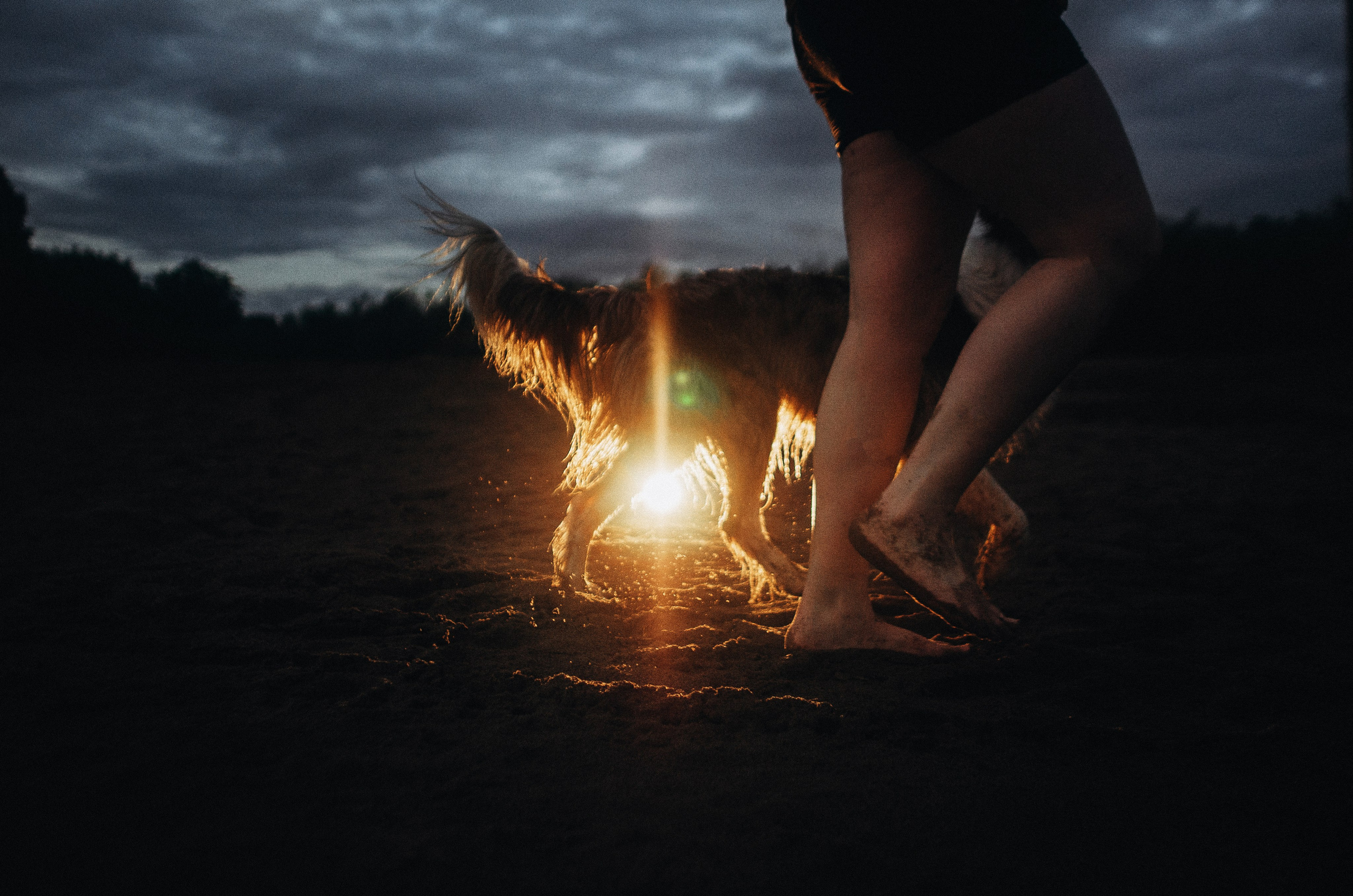 Алина и Бруна. Фотограф-анималист Богданова Полина