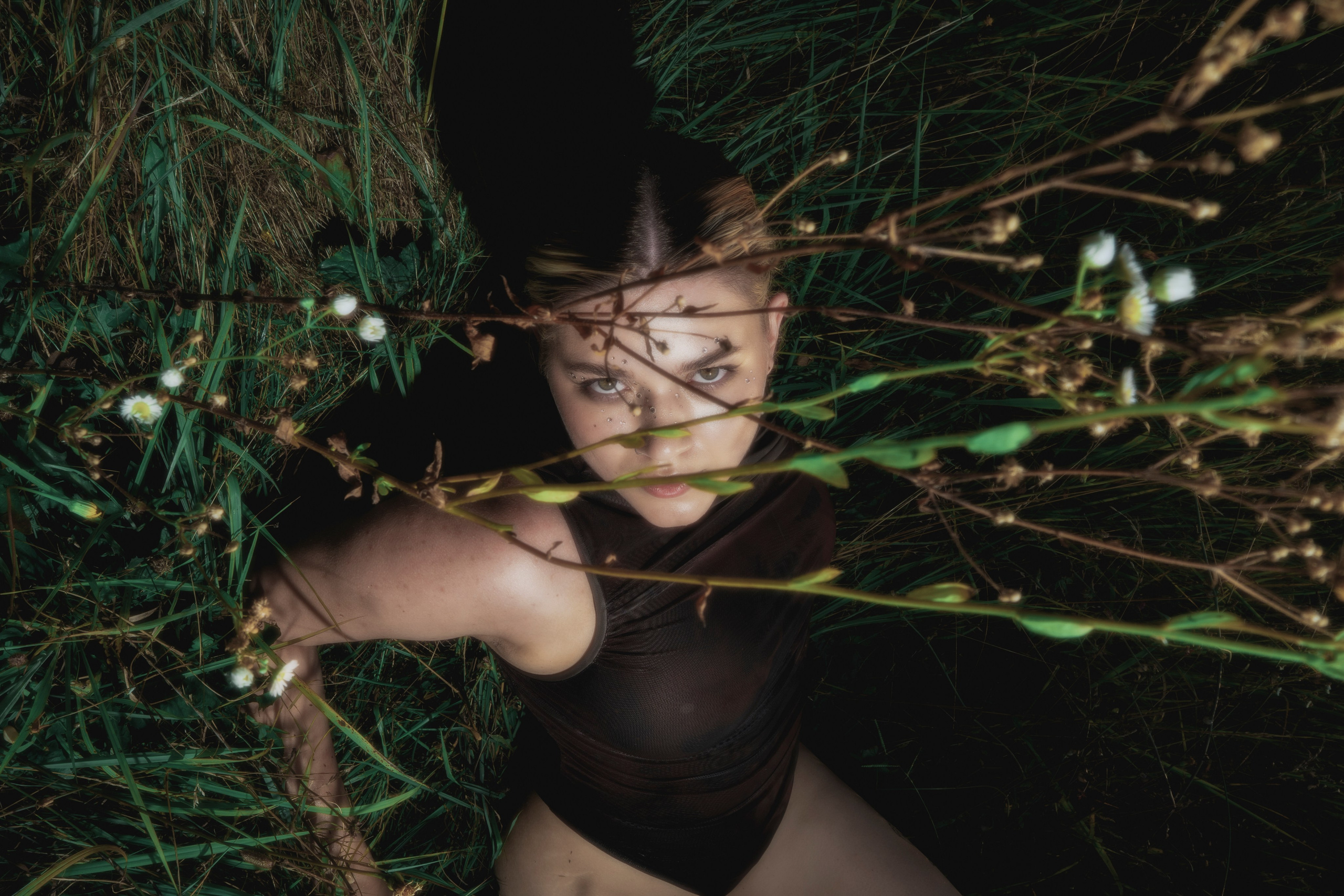 STRANGE FARM. Jorredi