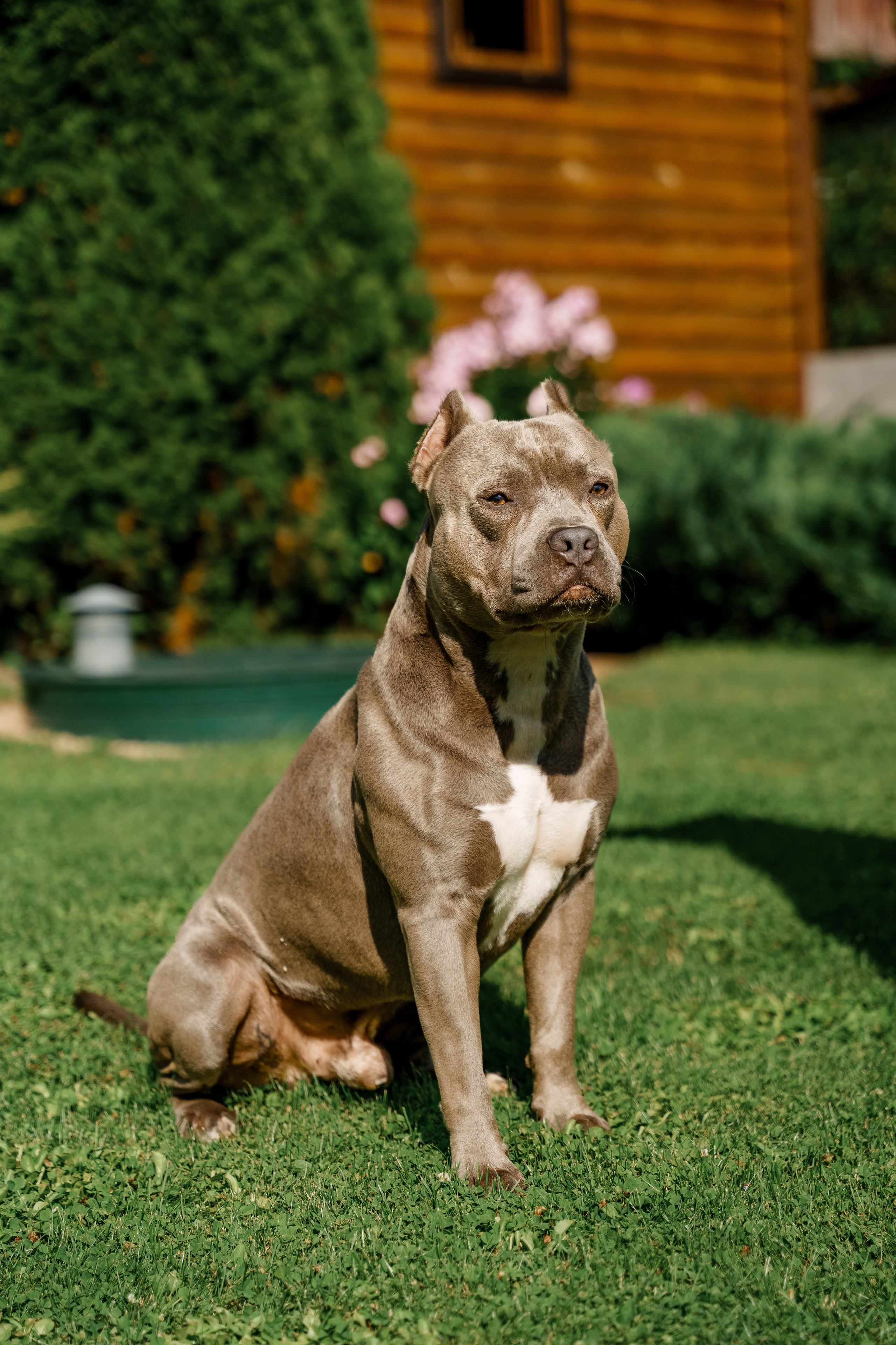 Ева 1 год. Станислав Тюрин Фотограф Москва. Индивидуальные и семейные фотосессии;