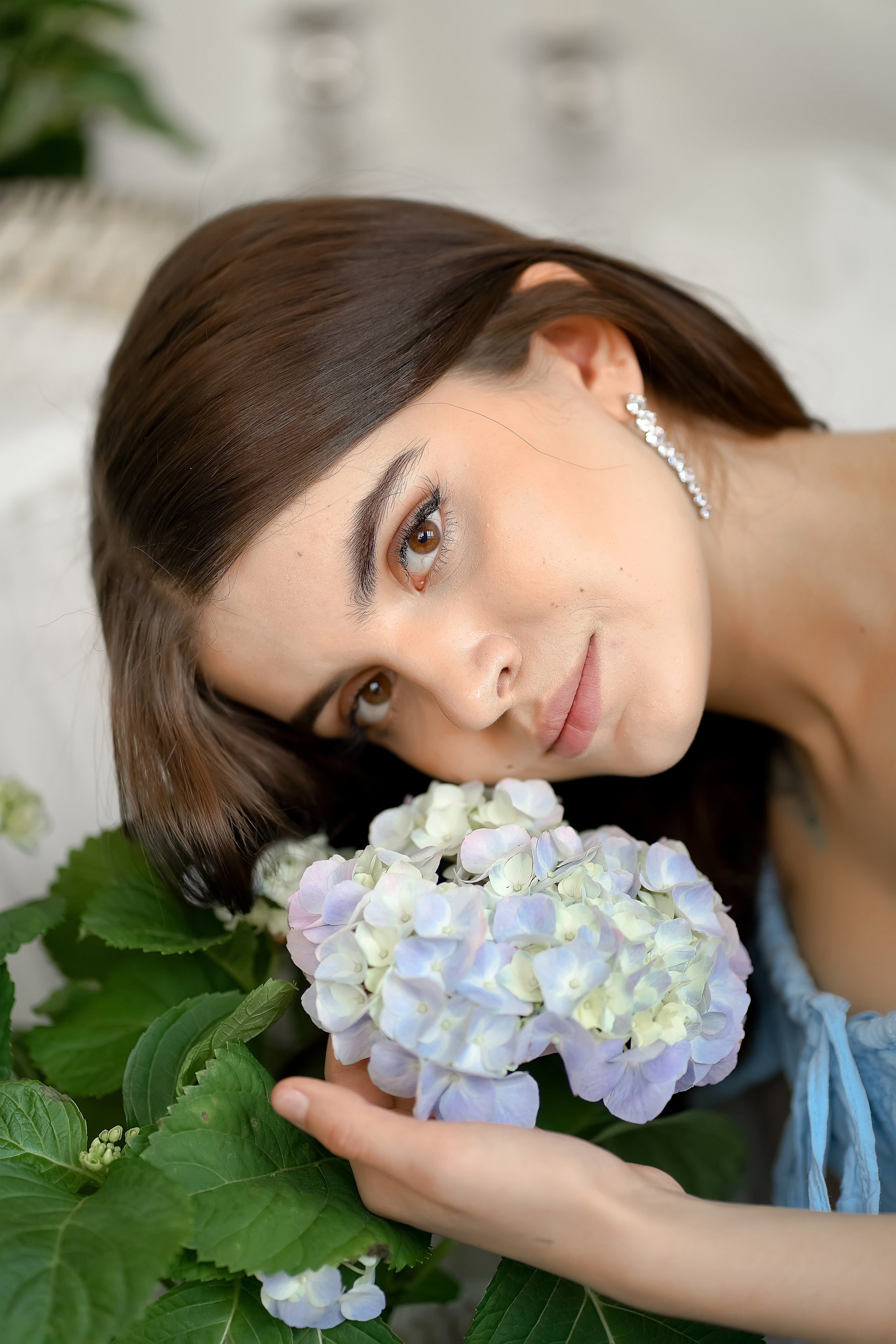 В ароматах гортензий. Фотограф Татьяна Митрофанова