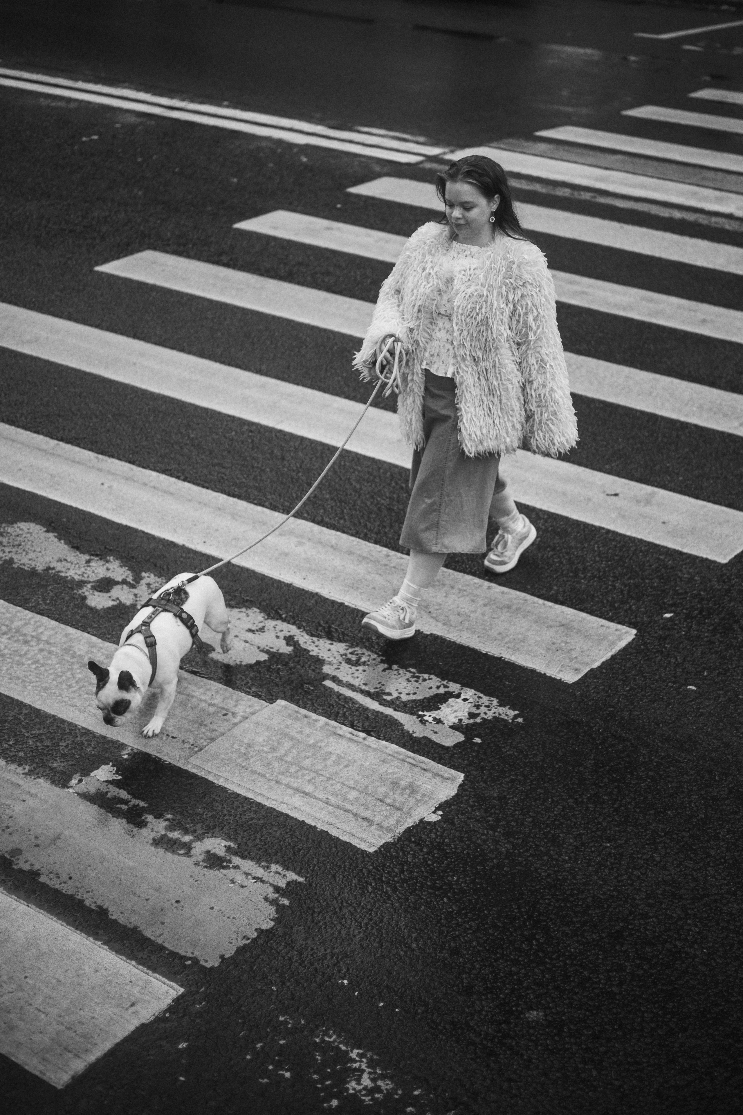 Настя и Шайни. Фотограф животных Евгения Верцинская