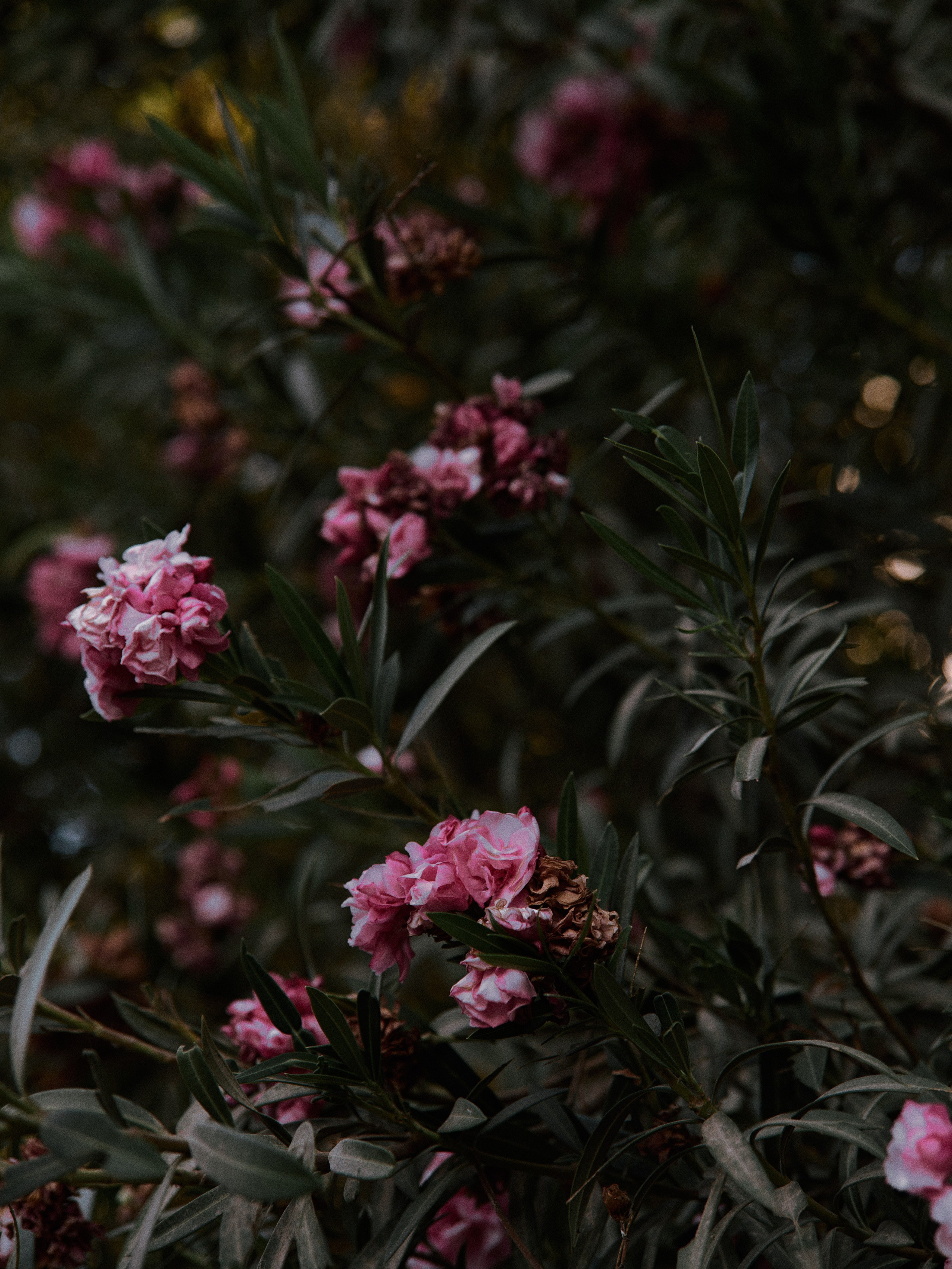 Природа. Jorgis Talè — photographer, kind person, teacher of arts and other mag