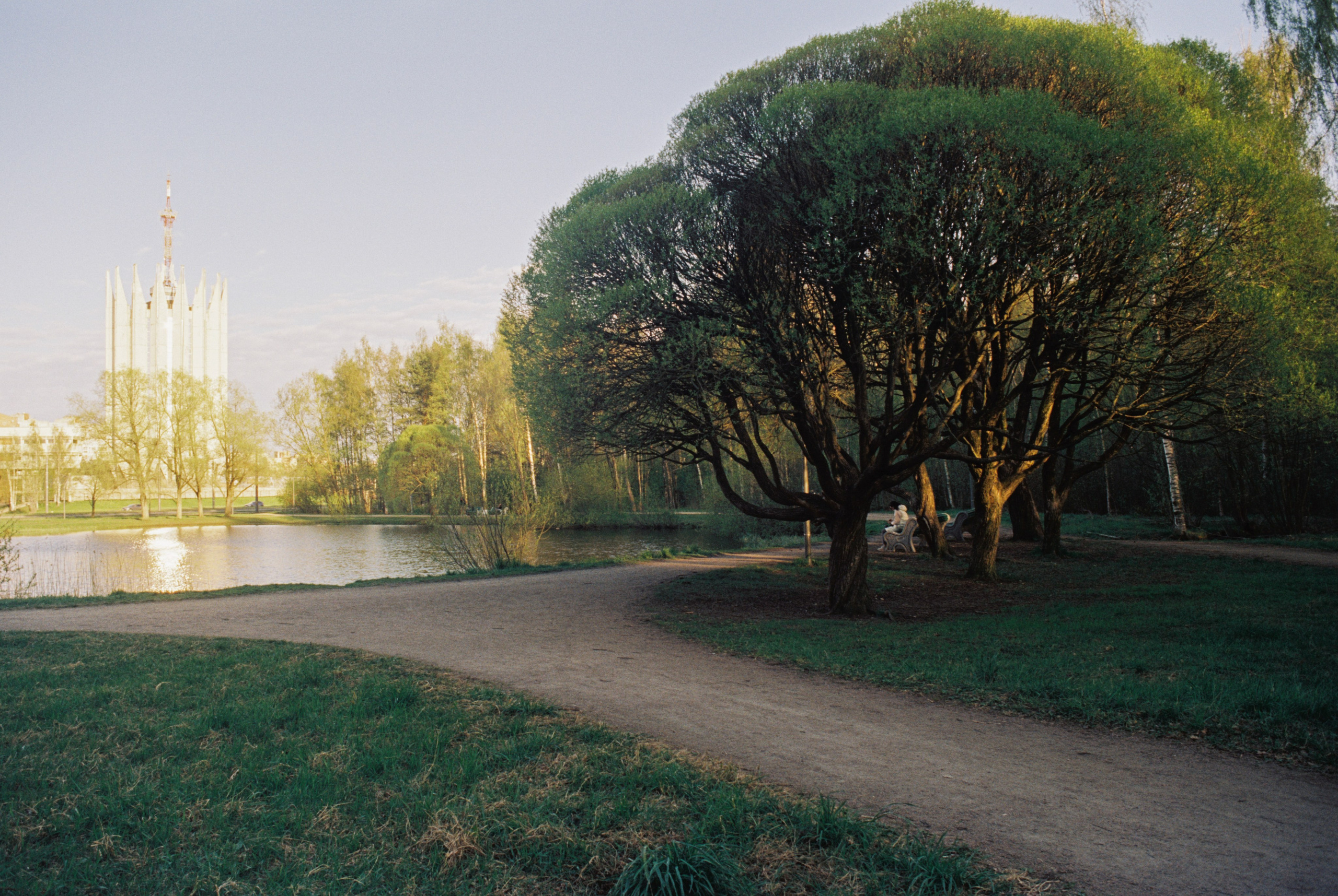 Плёночная весна 2025. Илья Михачёв Фотограф ПРО людей