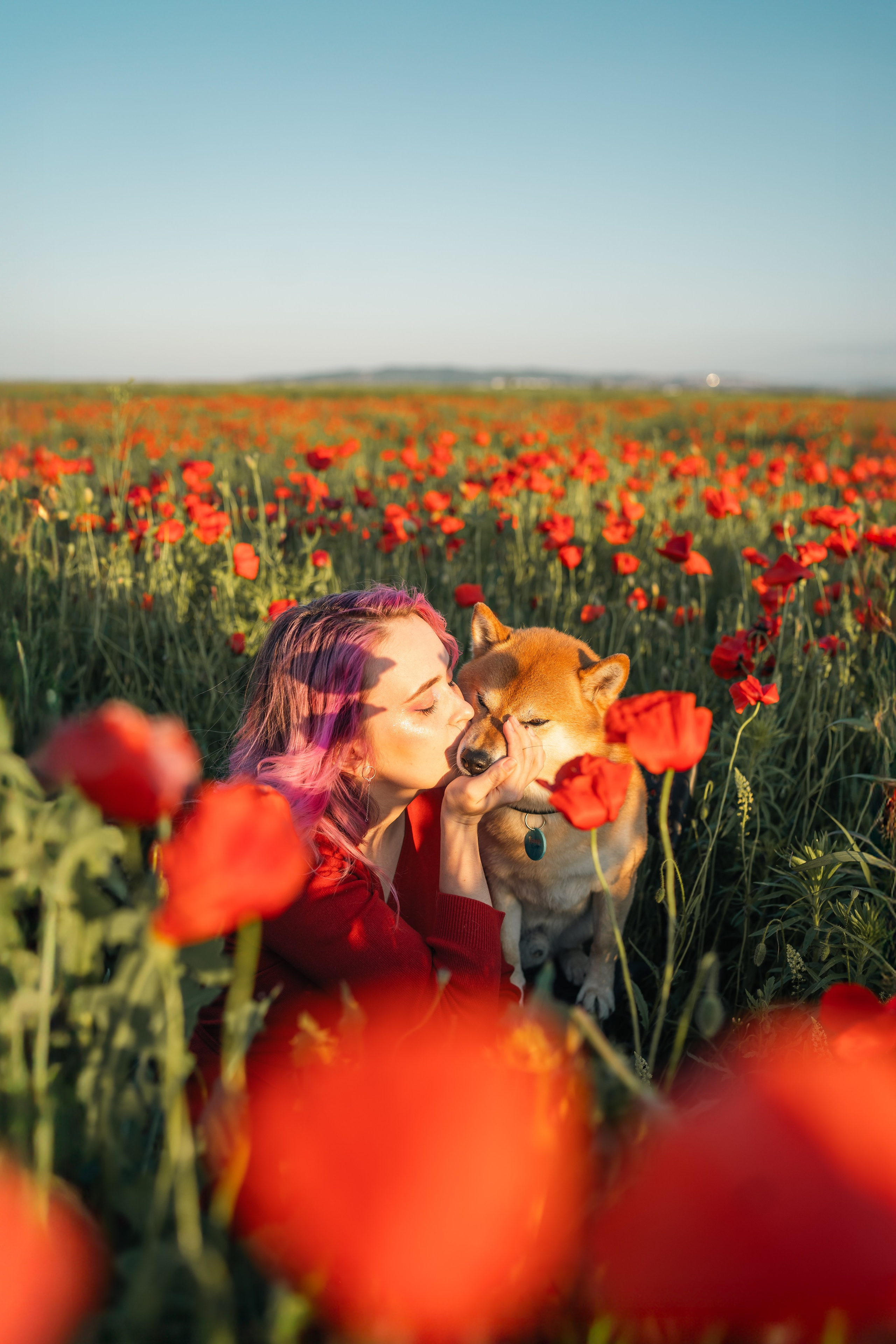 Маковое поле. Фотограф анималист