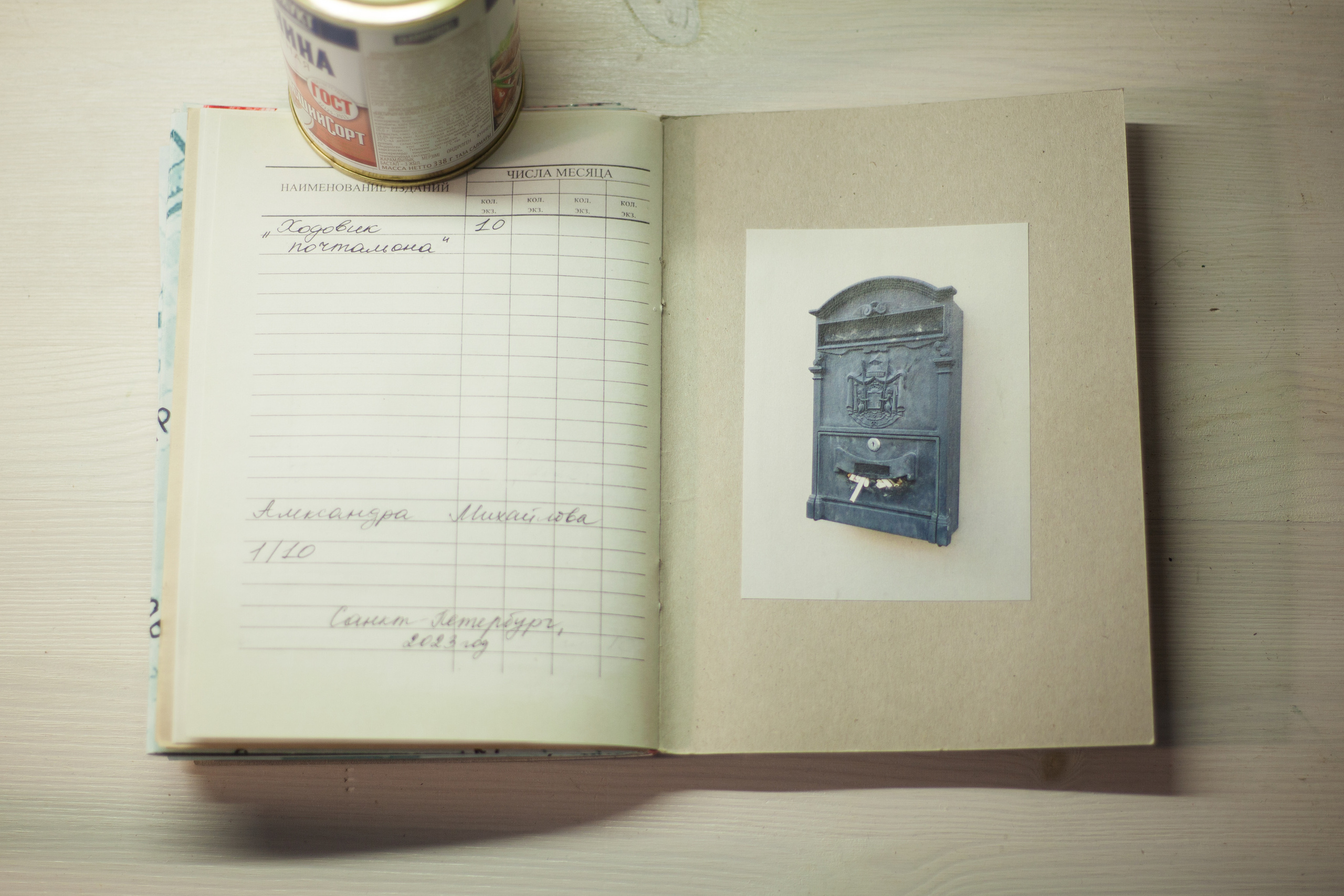 Ходовик. Aleksandra Mikhailova