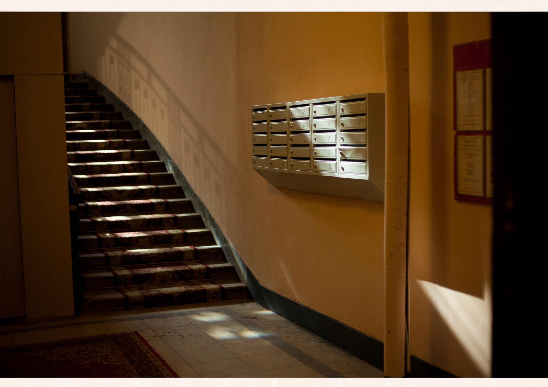 Ходовик. Aleksandra Mikhailova