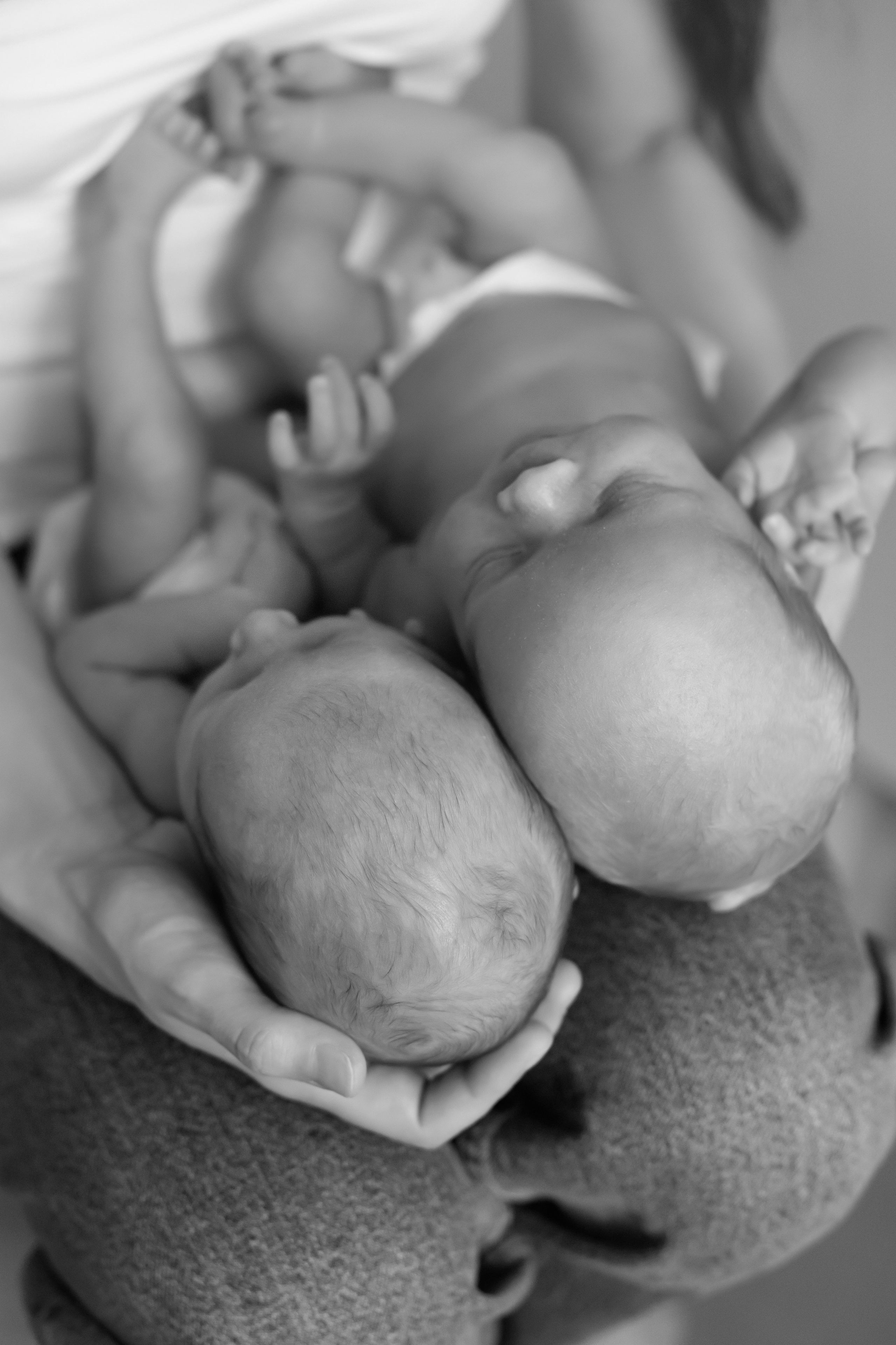 Вера и Диана 10 дней. Фотограф новорожденных Елена Панова