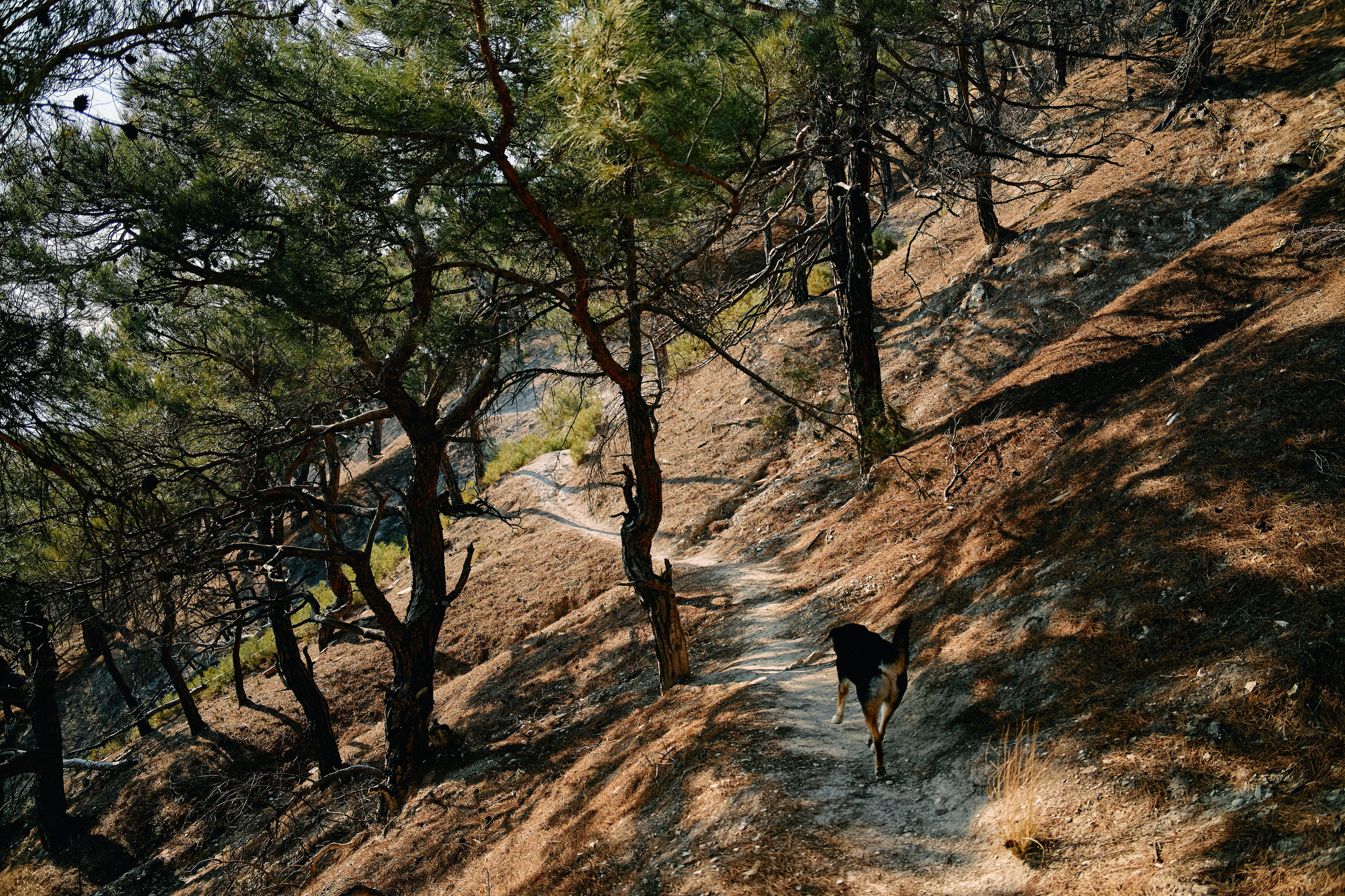 Юг России. Профессиональный Фотограф во Владимире, в Москве и в Суздале — Полина Романычева