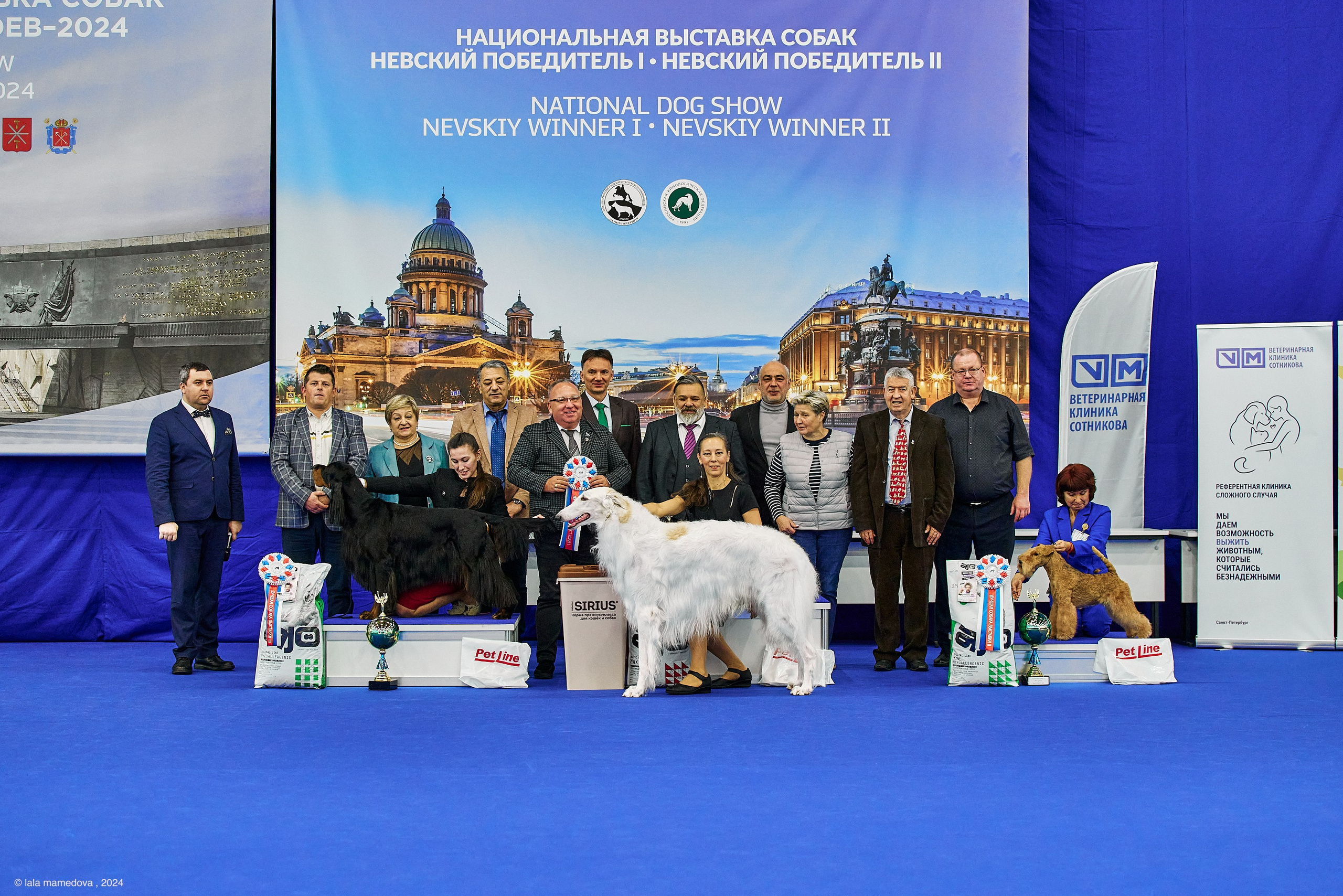 РЕЙТИНГОВАЯ ВЫСТАВКА СОБАК ВСЕХ ПОРОД С ОСОБЫМ СТАТУСОМ"НЕВСКИЙ ПОБЕДИТЕЛЬ-2024-2"