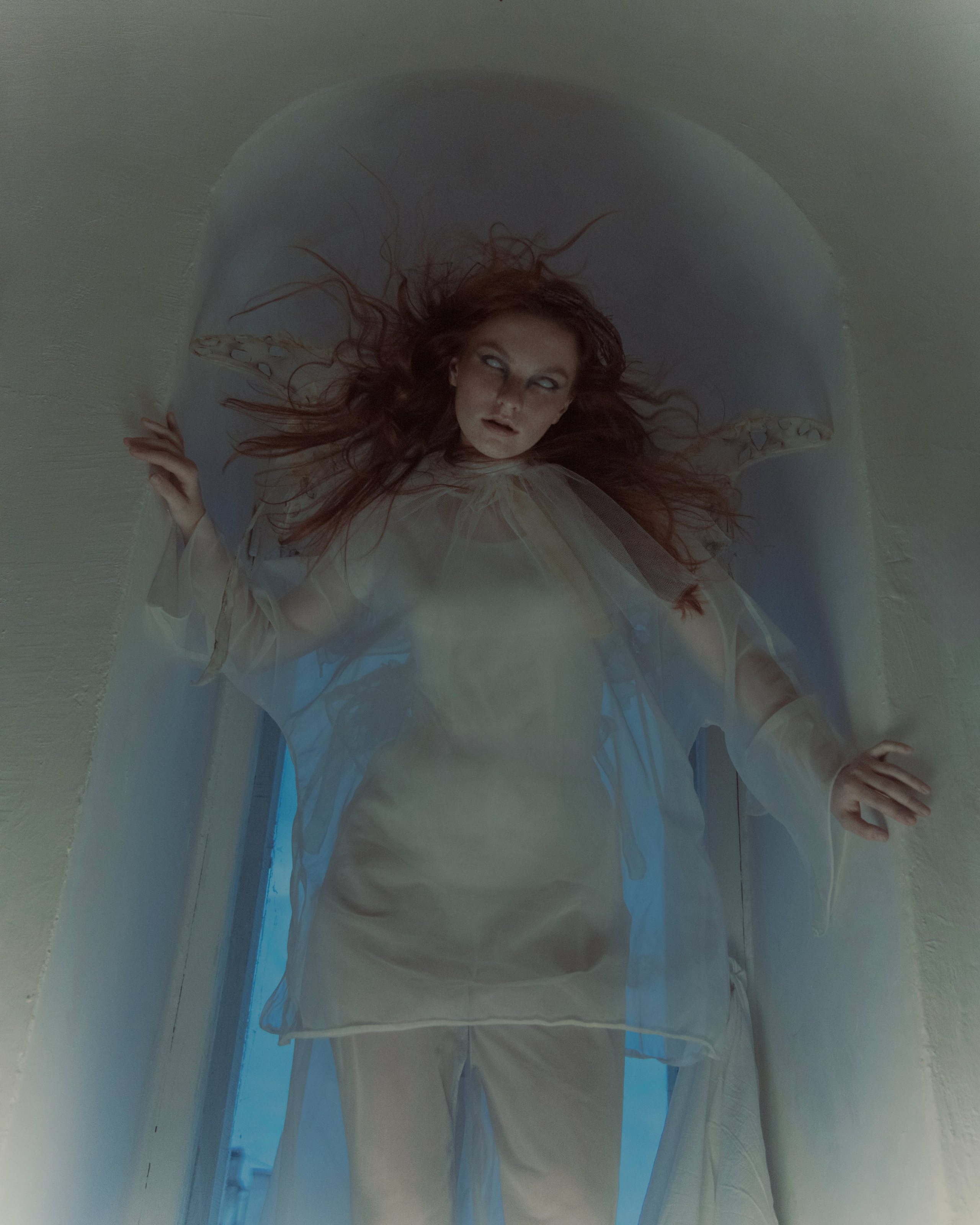 Мотылек. Фотограф Anita Mivchas
