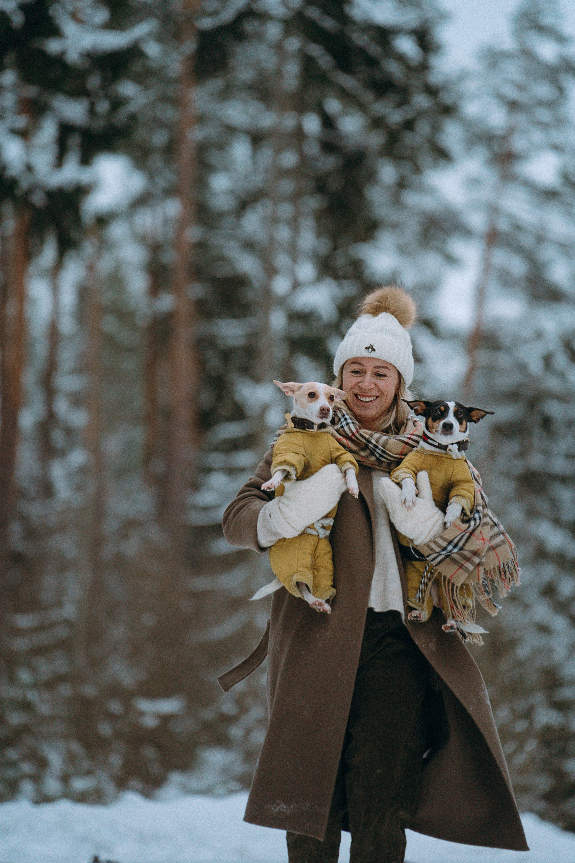 Алина, Ваниль и Элис. Фотограф анималист в Москве и Санкт-Петербурге Свиридова Анна