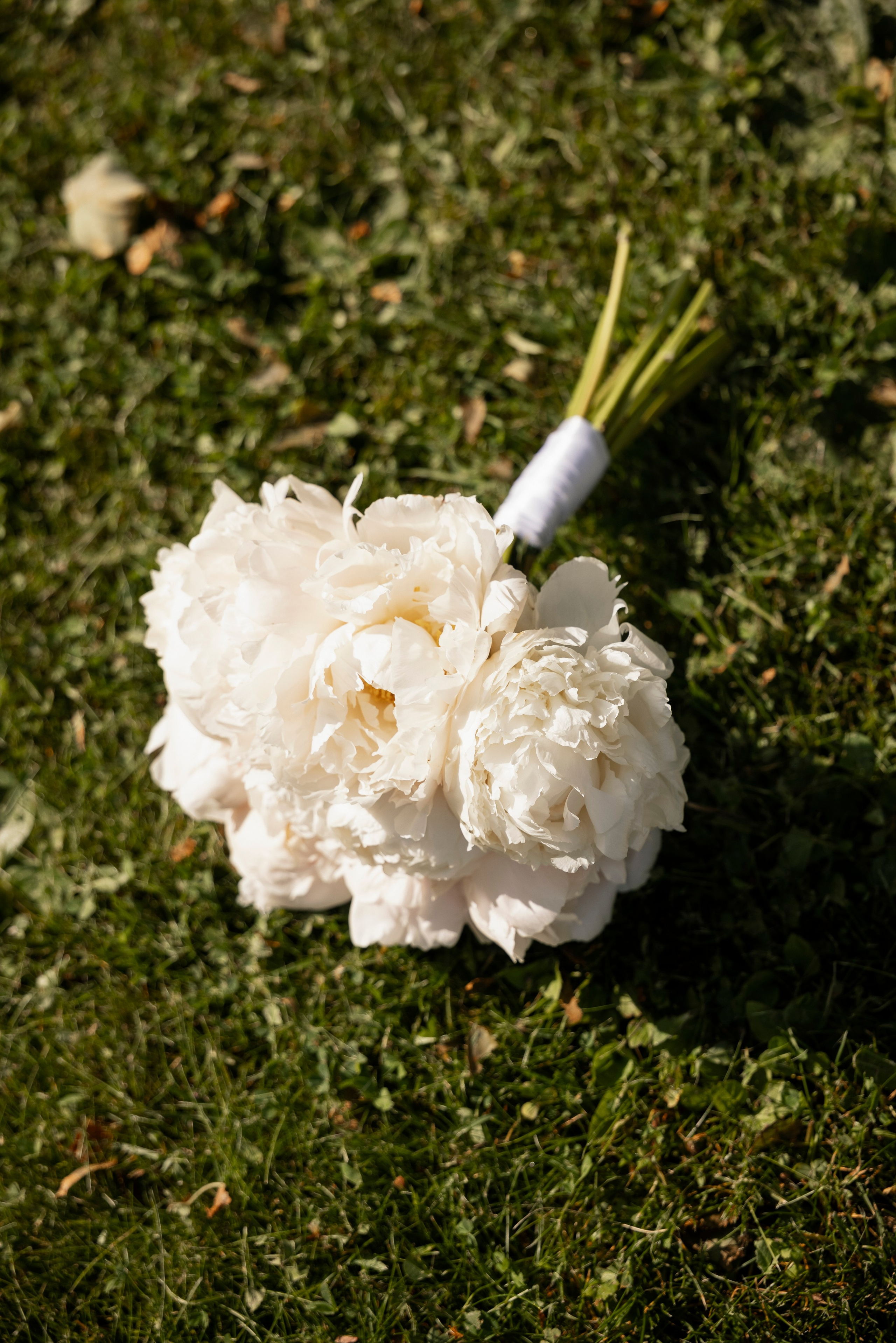 Илья и Диана. Свадебный и портретный фотограф