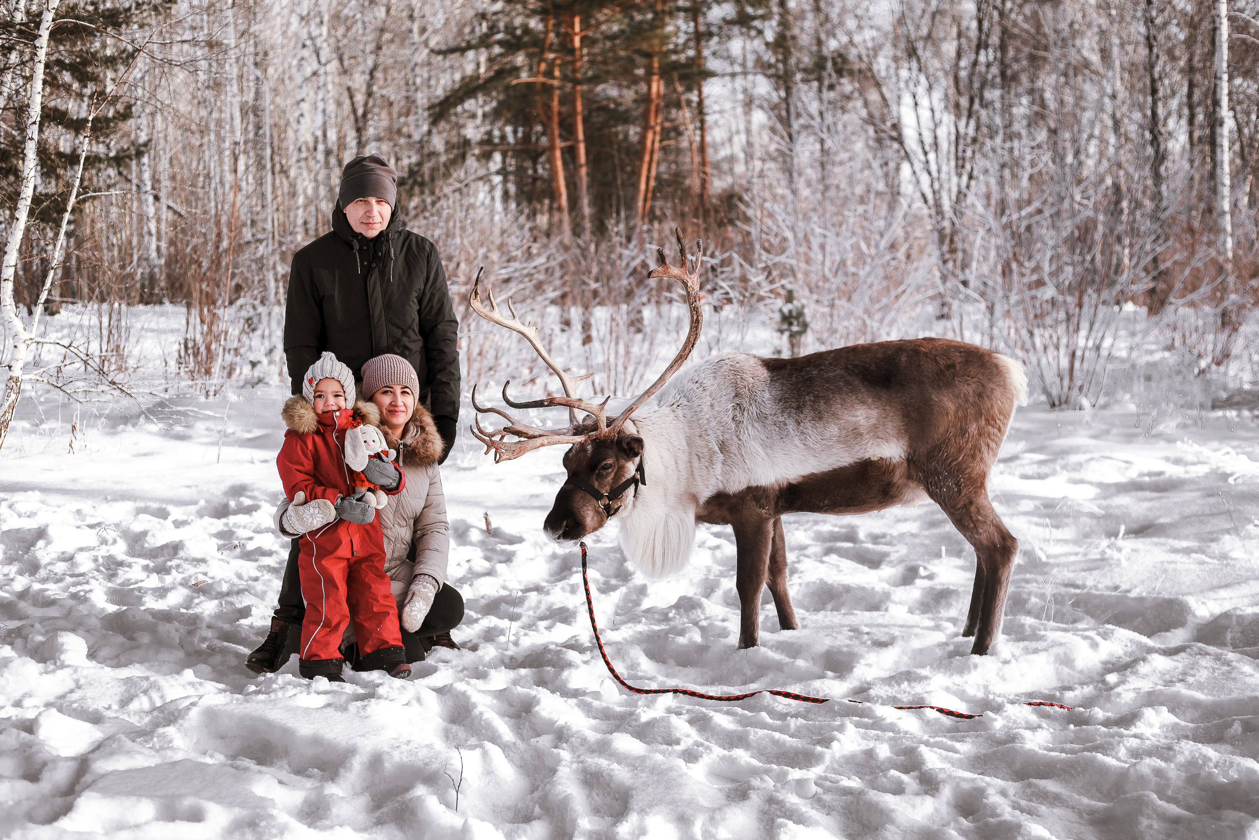 Фотосессии с Оленем. Фотограф в Томске Юлия Постнова