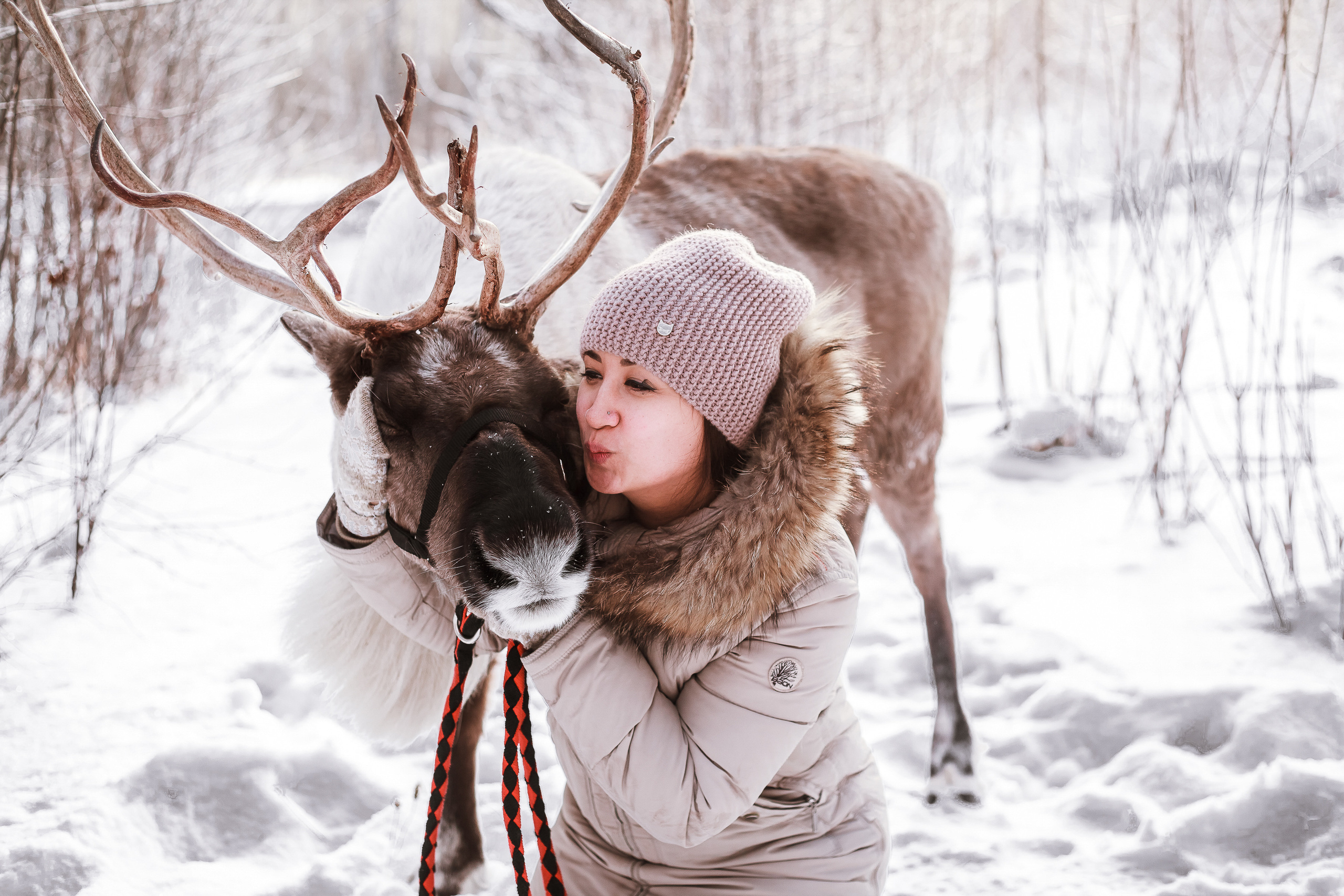 Фотосессии с Оленем. Фотограф в Томске Юлия Постнова