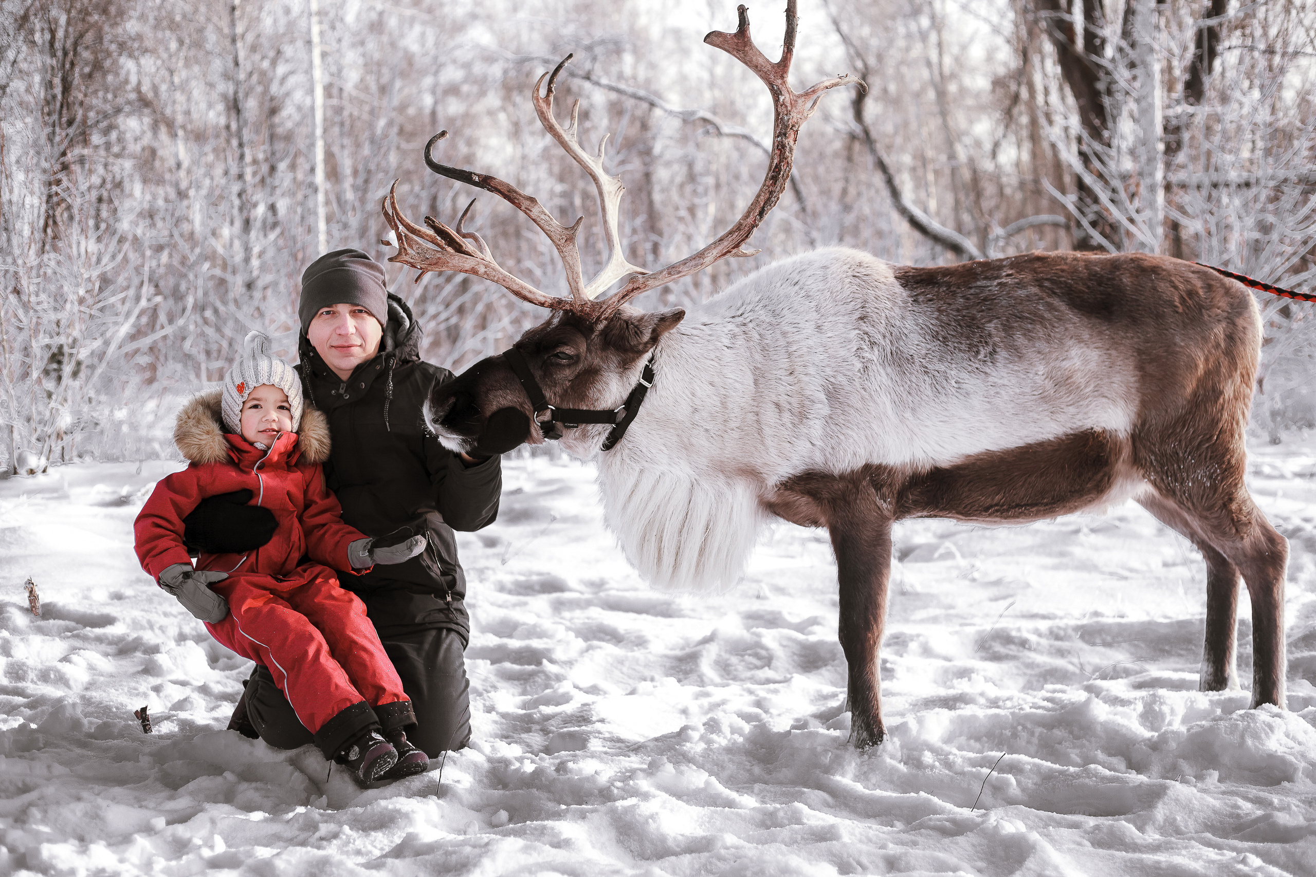 Фотосессии с Оленем. Фотограф в Томске Юлия Постнова