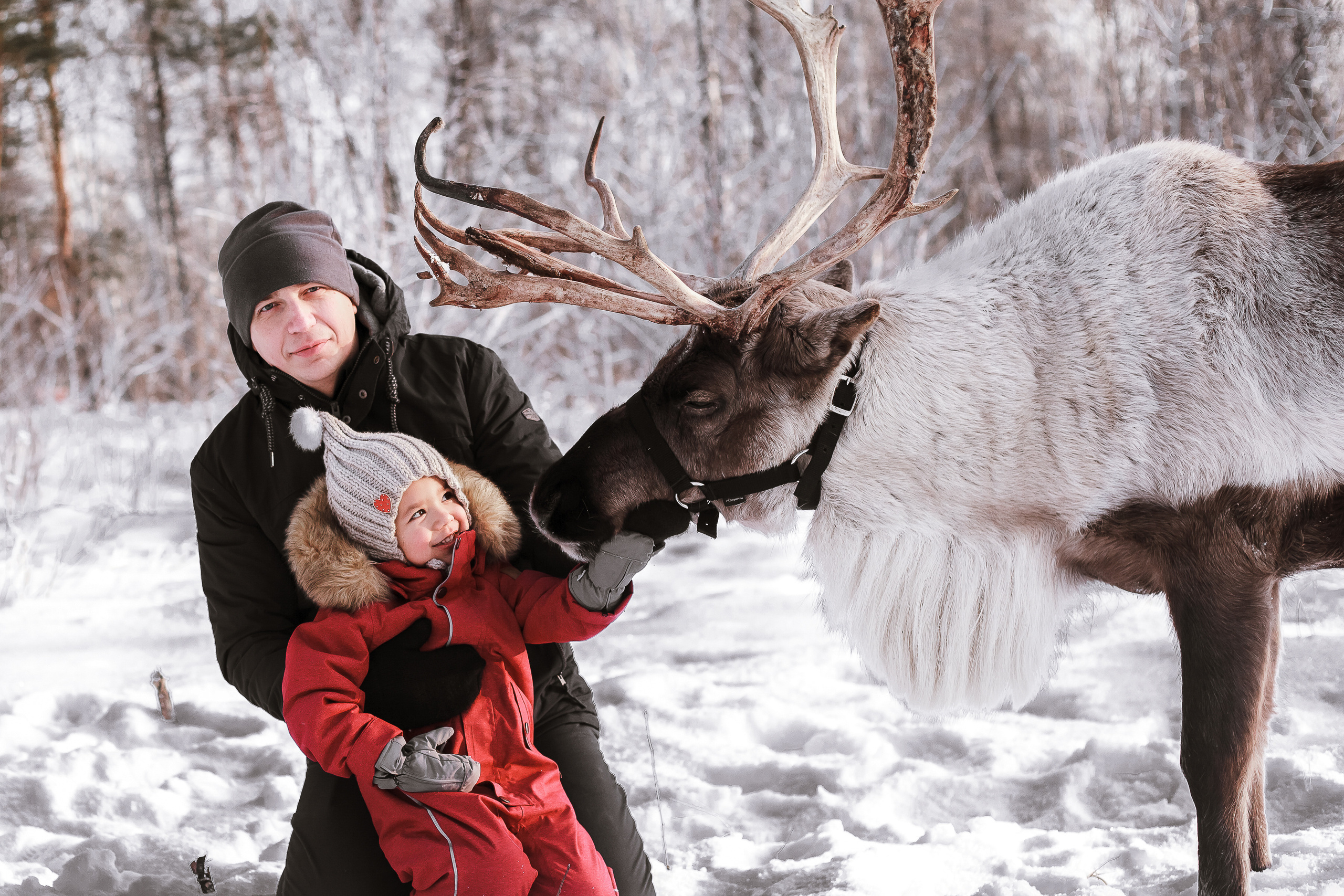 Фотосессии с Оленем. Фотограф в Томске Юлия Постнова