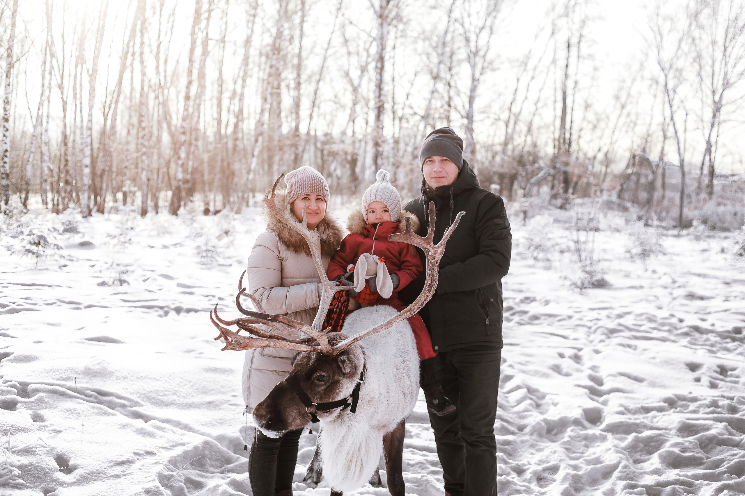 Фотосессии с Оленем. Фотограф в Томске Юлия Постнова