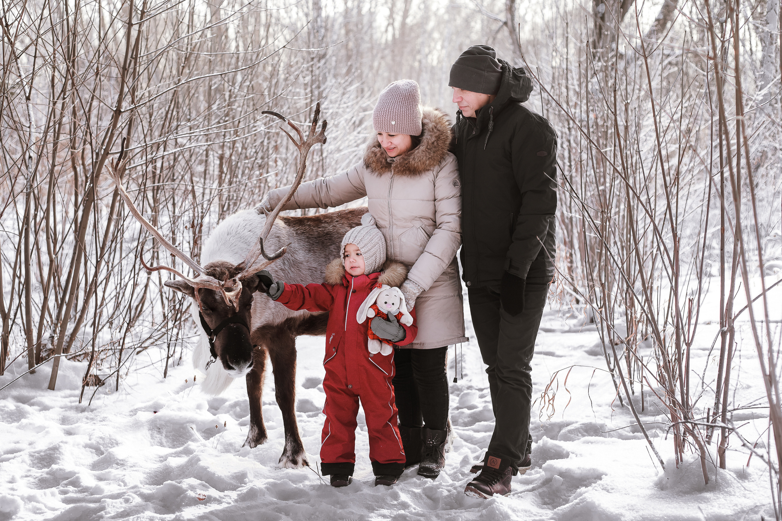 Фотосессии с Оленем. Фотограф в Томске Юлия Постнова