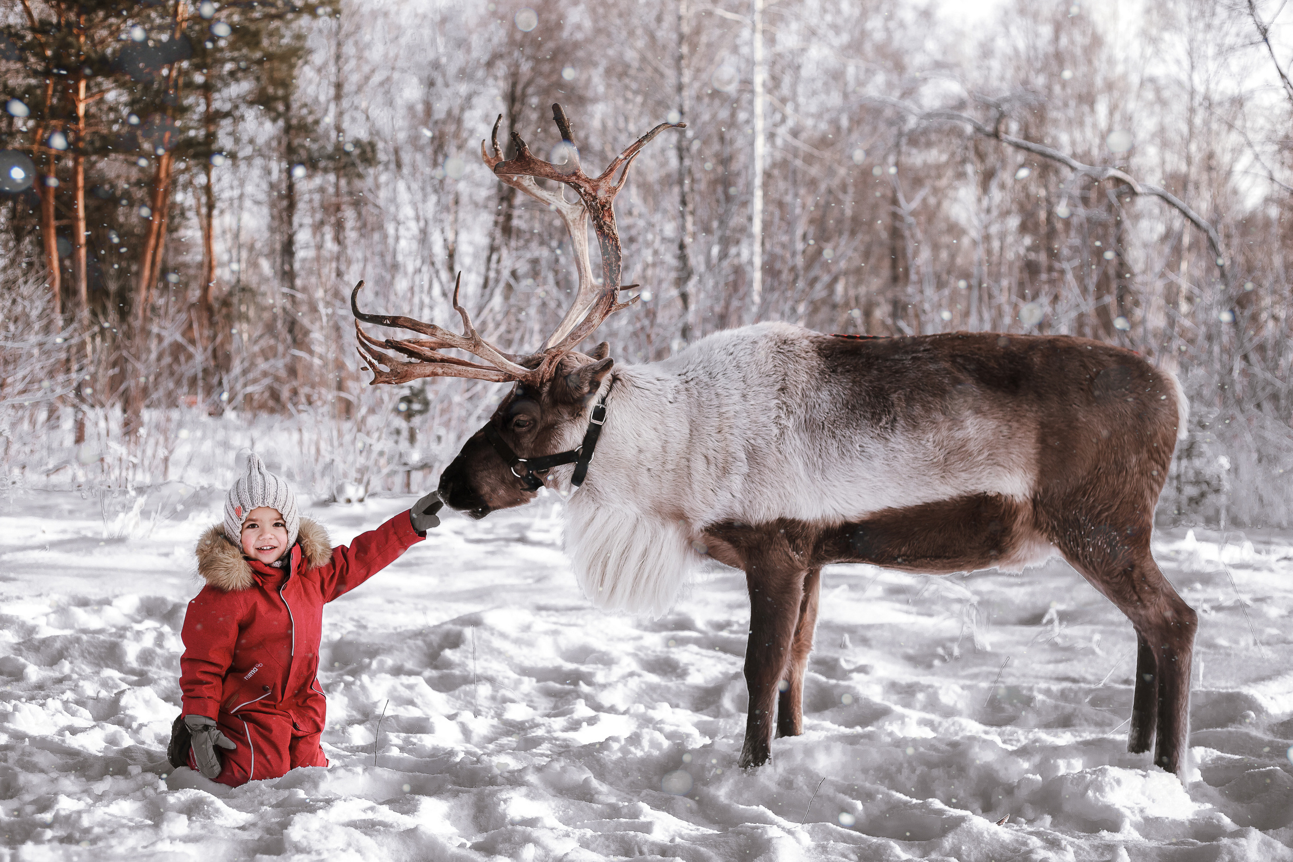 Фотосессии с Оленем. Фотограф в Томске Юлия Постнова