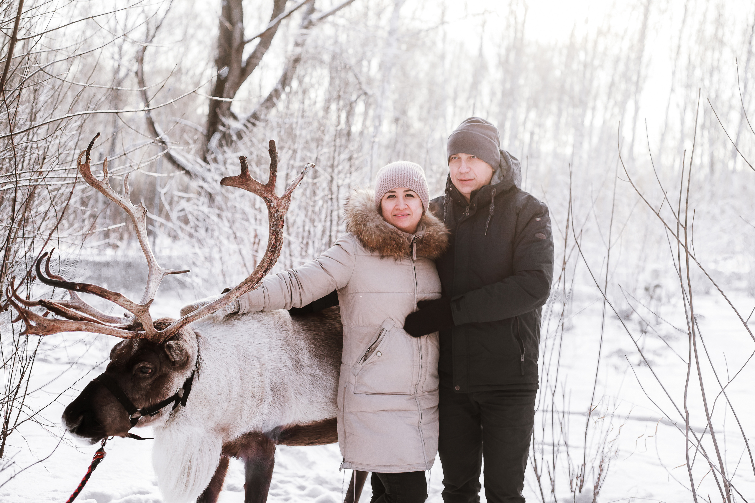 Фотосессии с Оленем. Фотограф в Томске Юлия Постнова