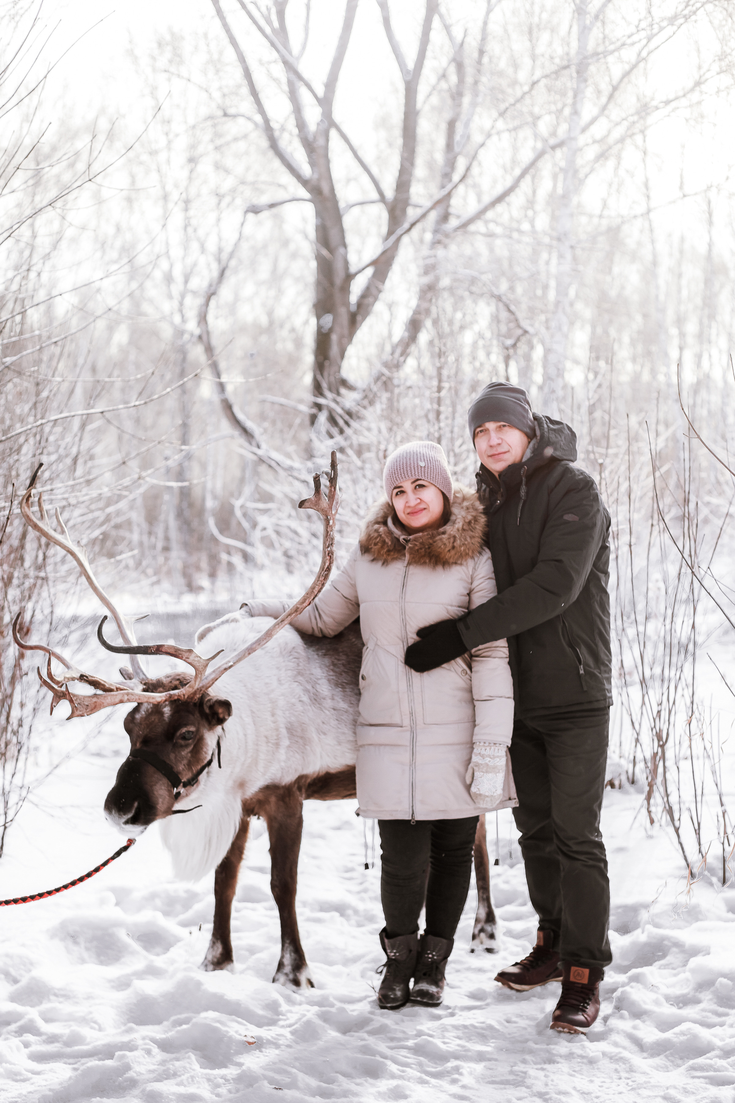 Фотосессии с Оленем. Фотограф в Томске Юлия Постнова